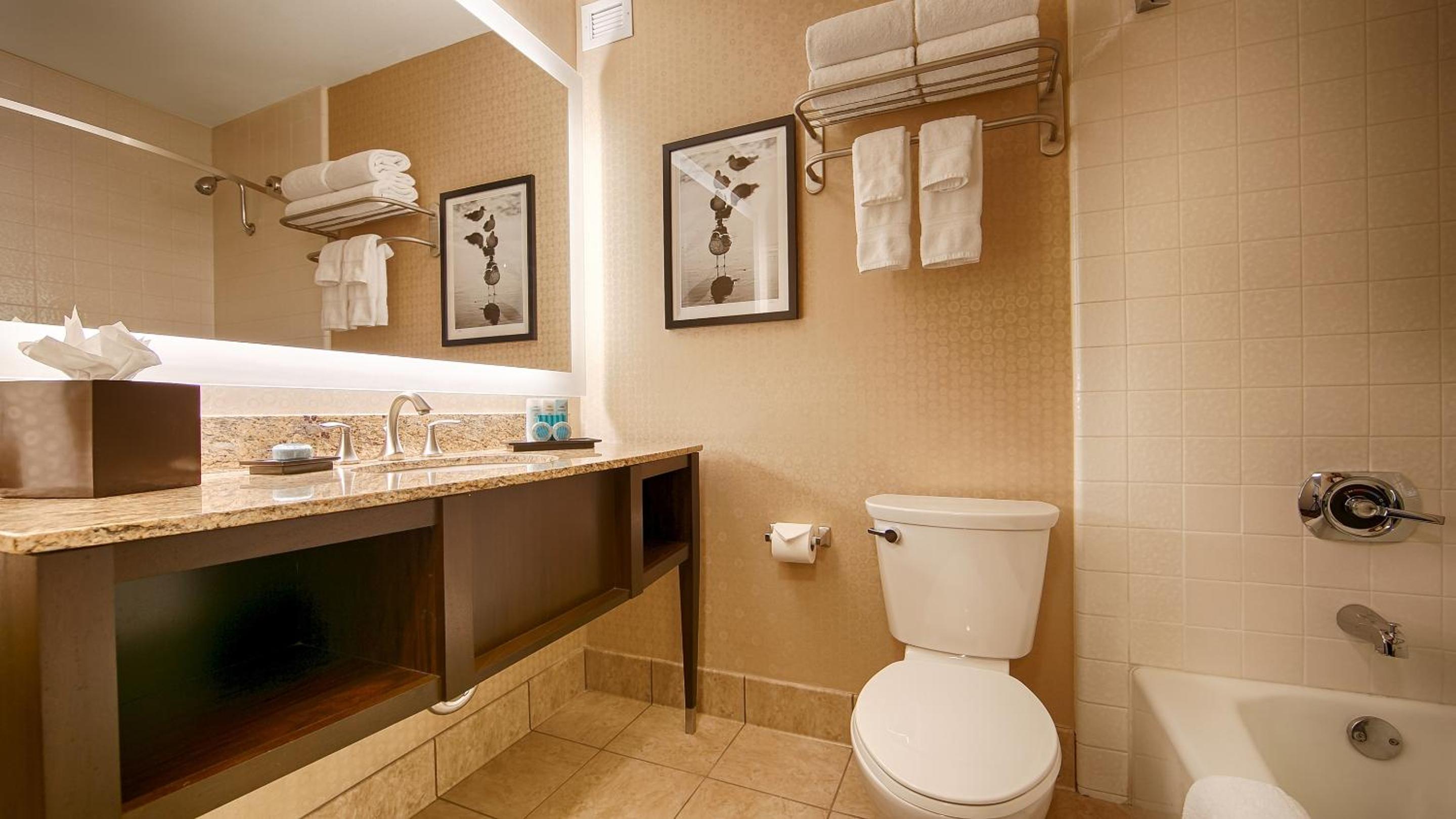 King Room - Non-Smoking - Photo 3