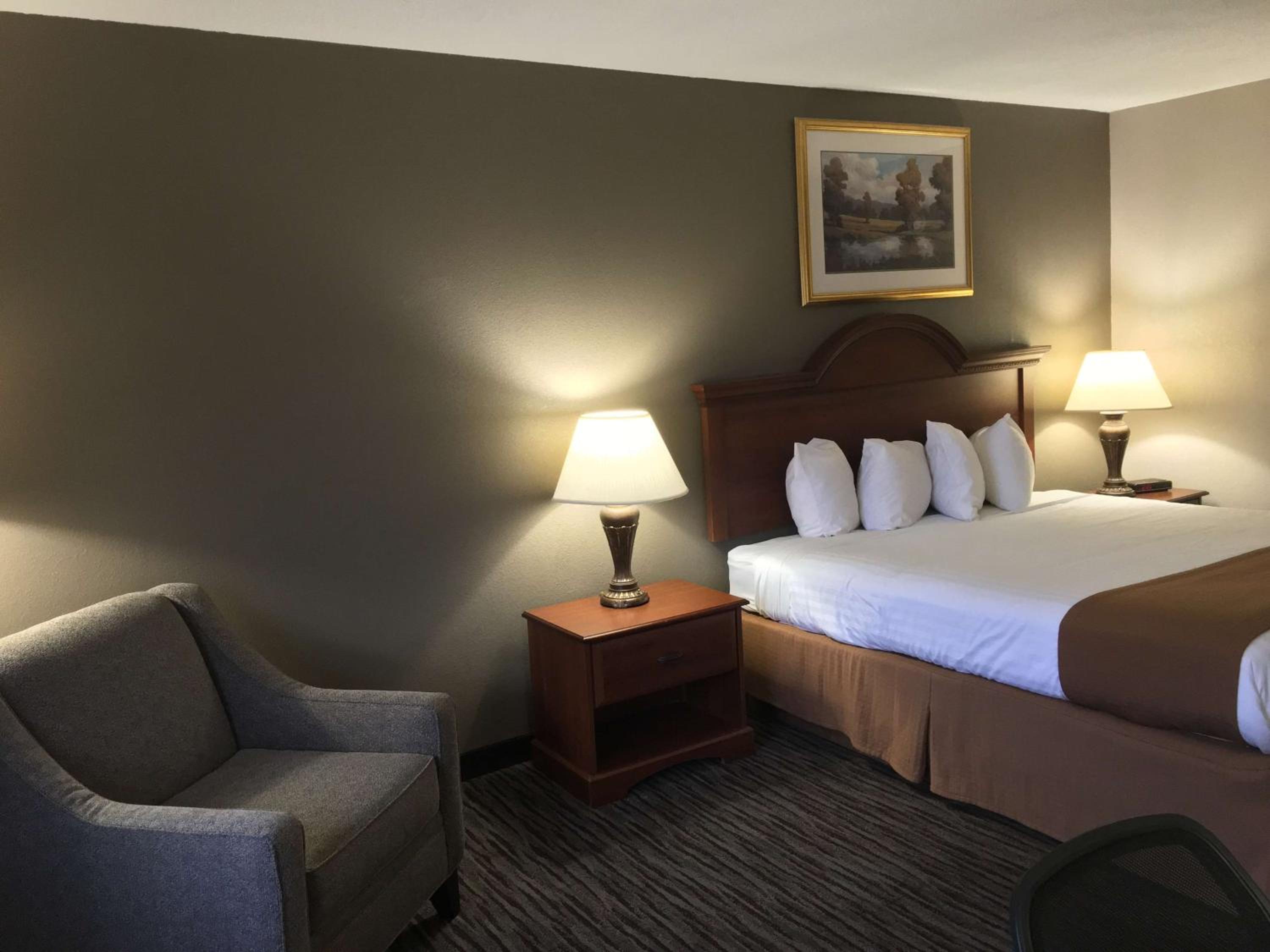 King Room - Pet Friendly/Non-Smoking - Photo 5