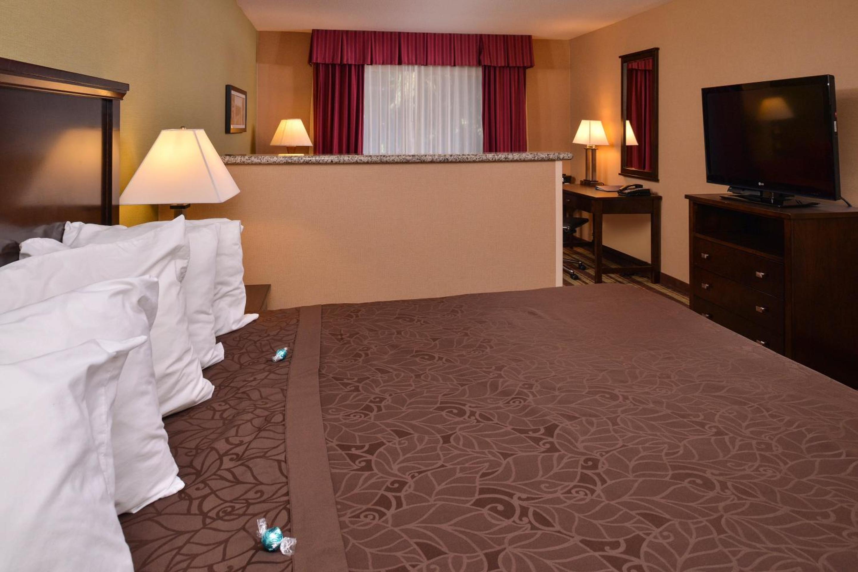 King Suite with Wet Bar - Non-Smoking - Photo 4
