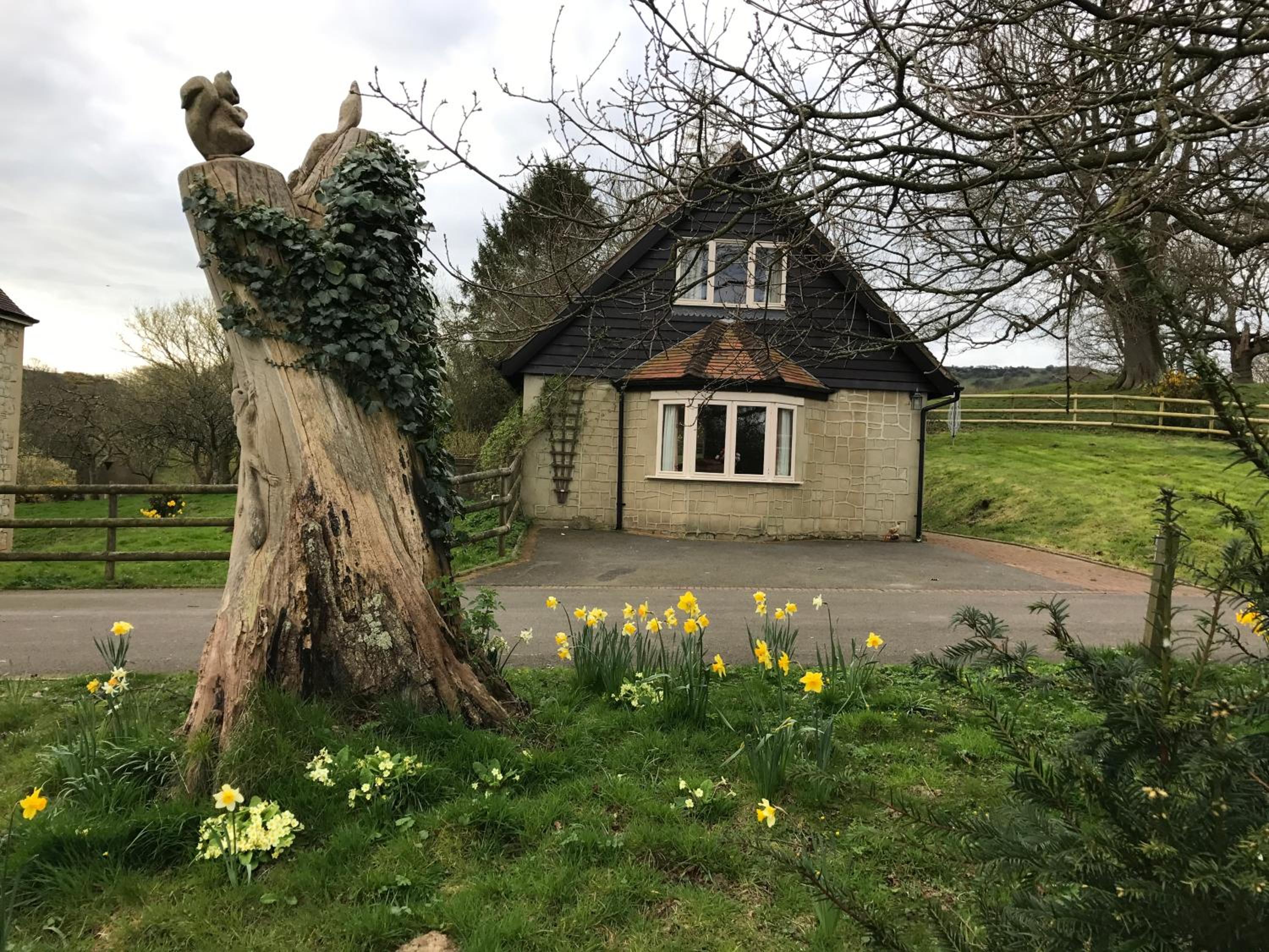 Two-Bedroom Cottage photo 2