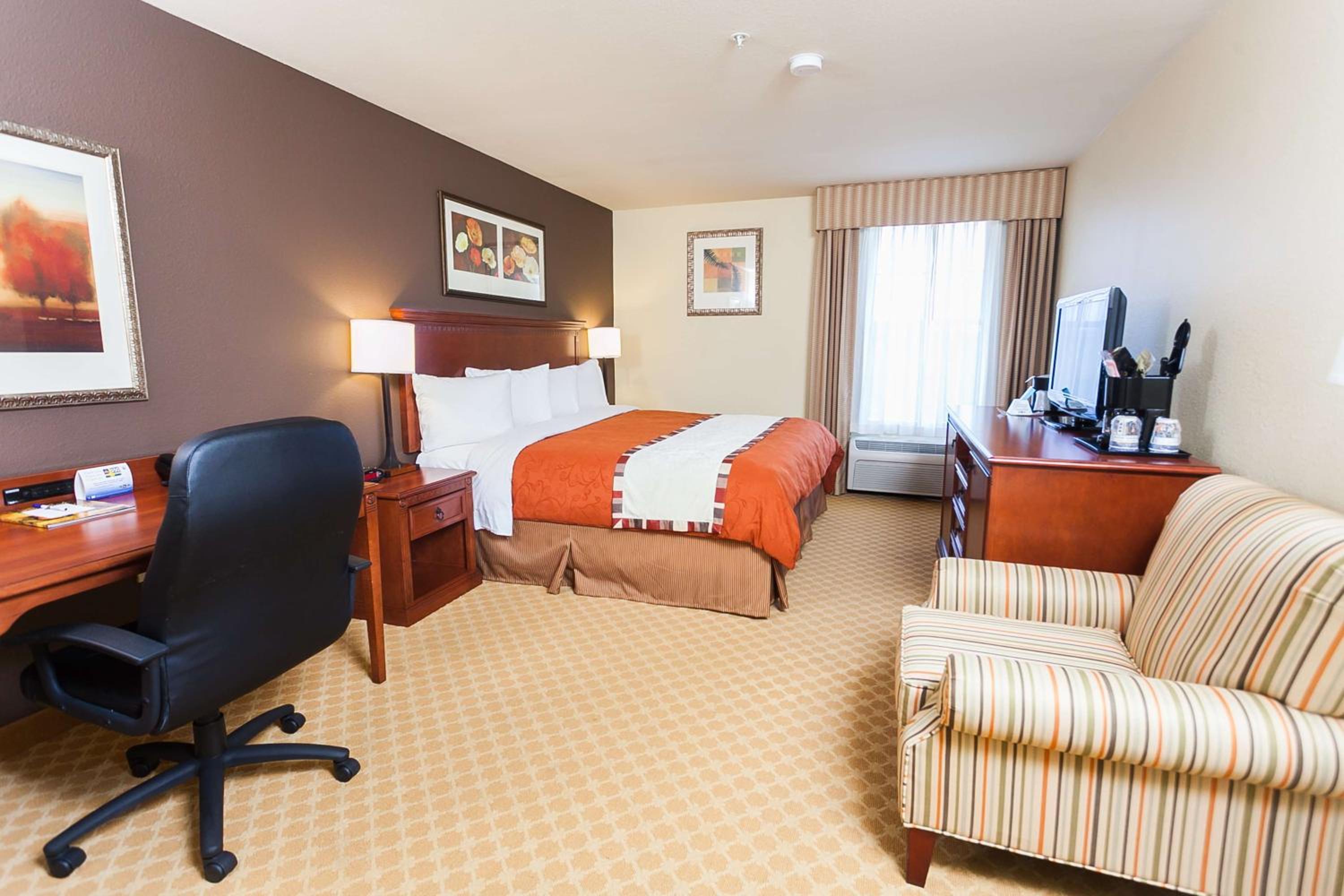 King Room - Non-Smoking - Photo 4