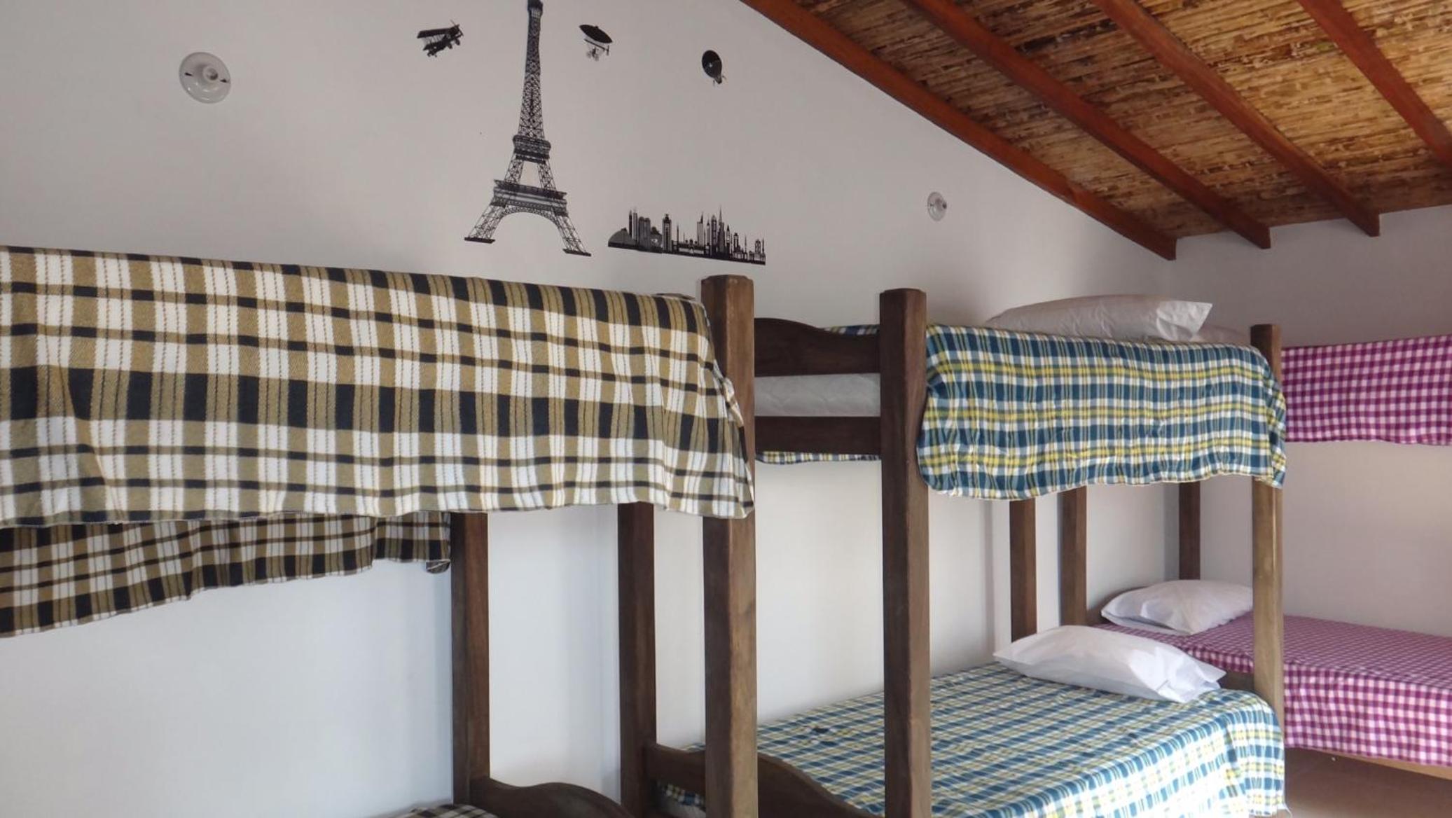 Bunk Bed in Mixed Dormitory Room photo 3