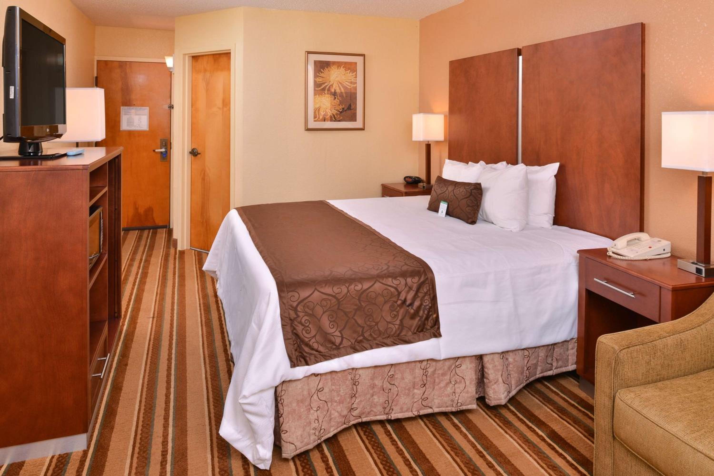 King Room Pet Friendly - Non Smoking - Photo 5