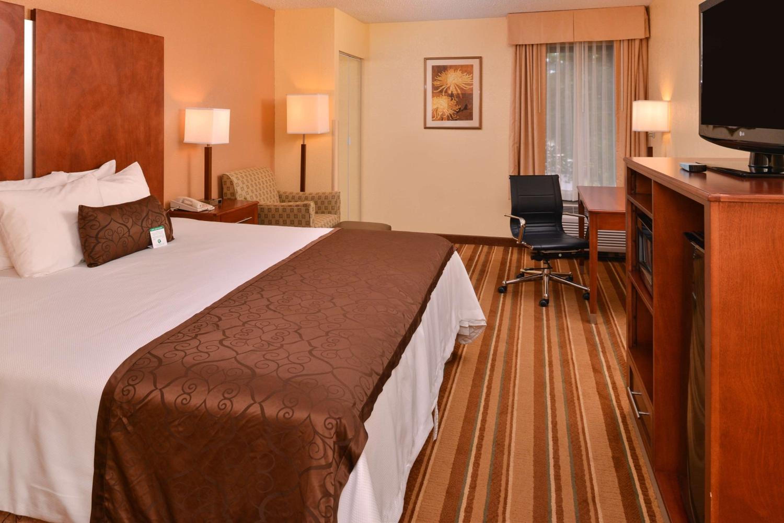 King Room - Non-Smoking - Photo 4
