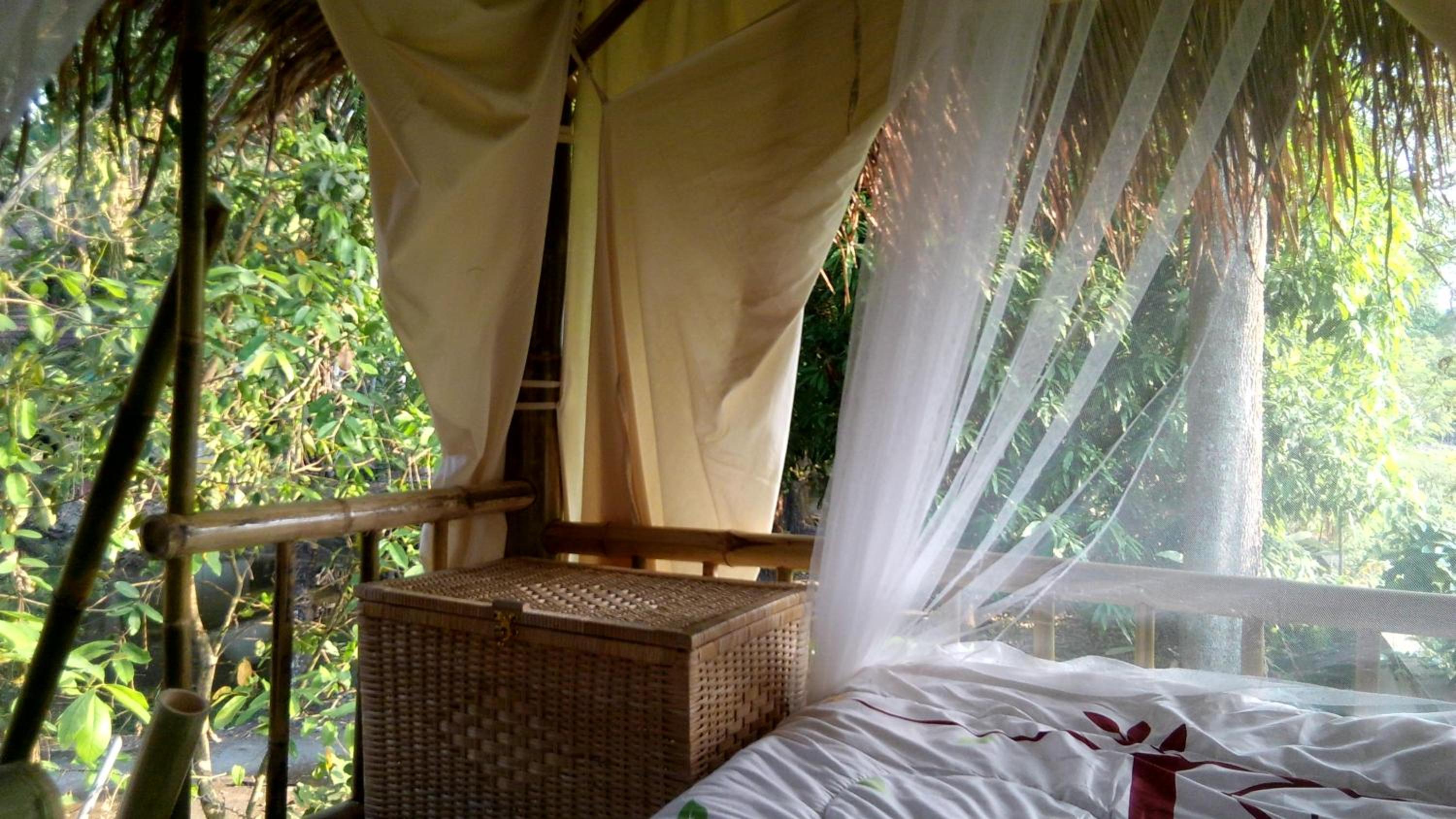 Cottage with Garden View photo 3