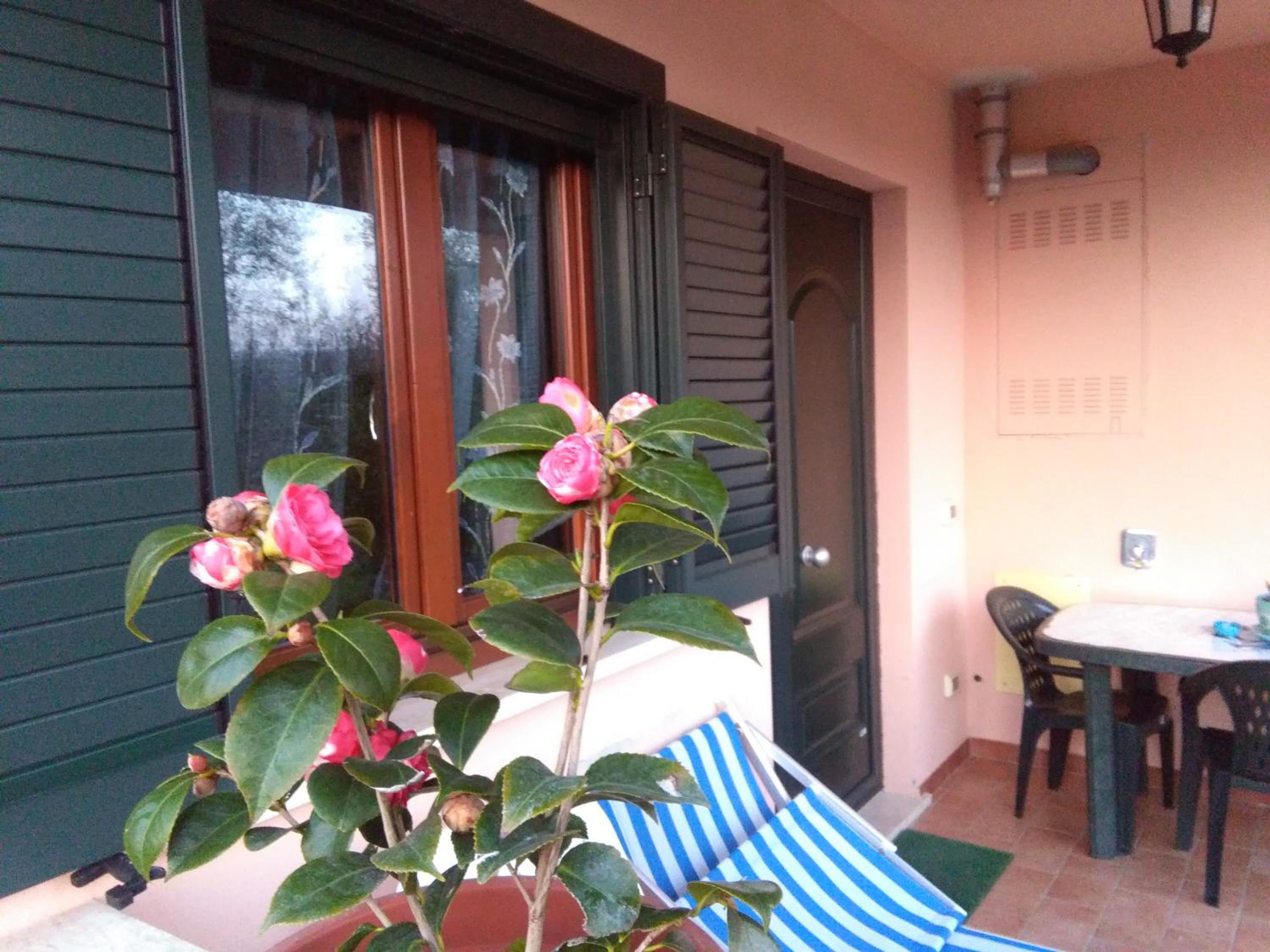 Apartment with Garden View