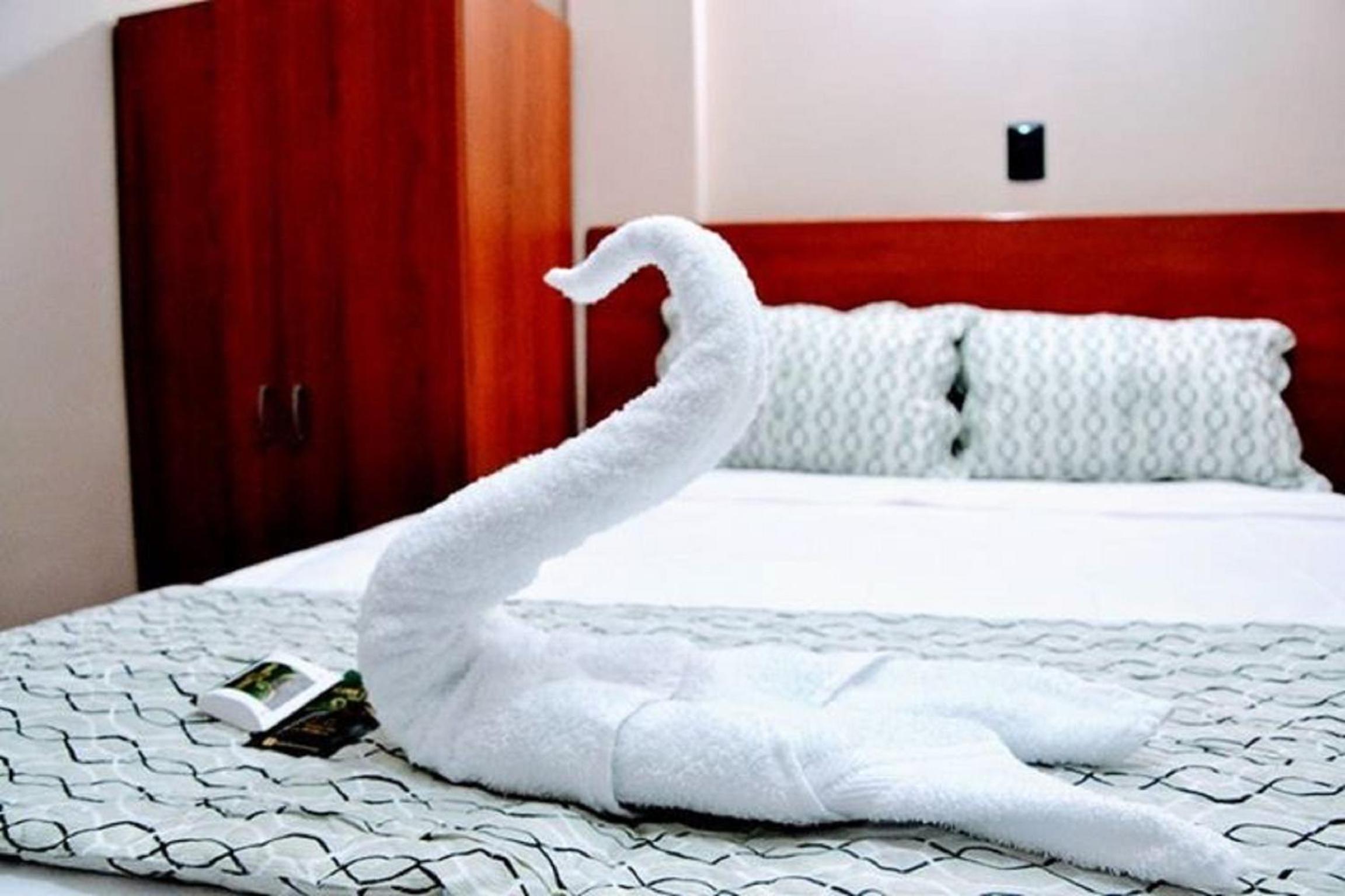 Single Room photo 3