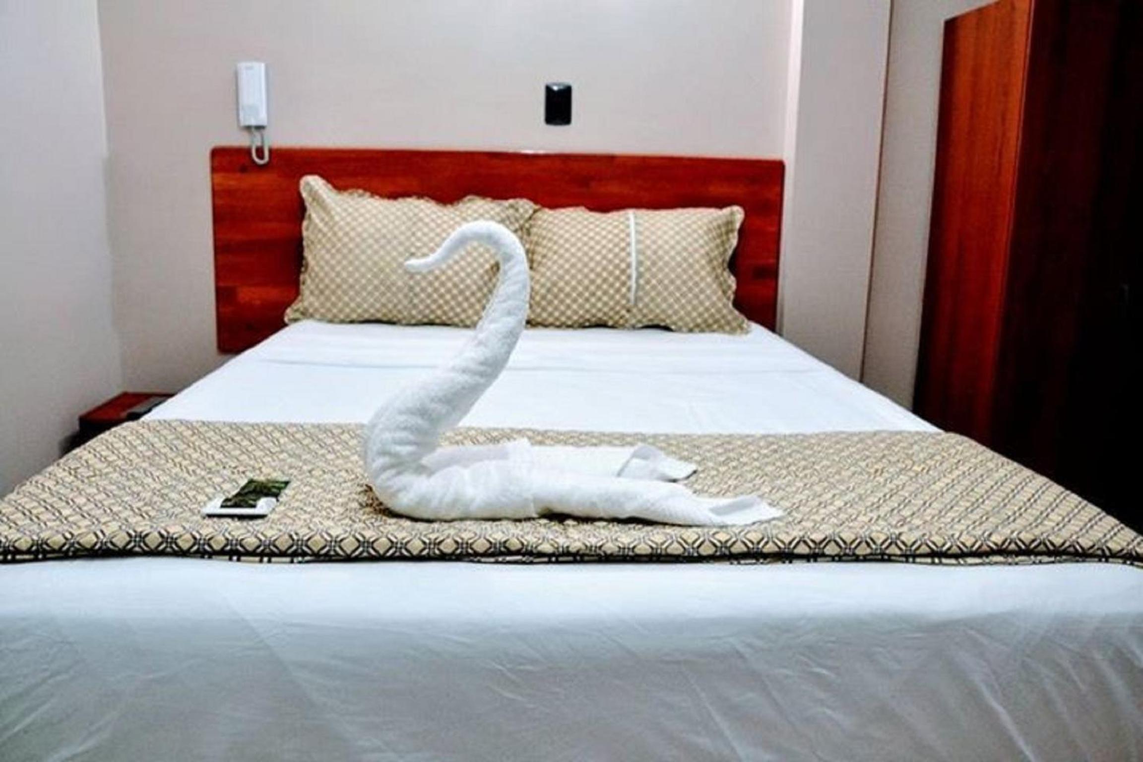 Single Room photo 2