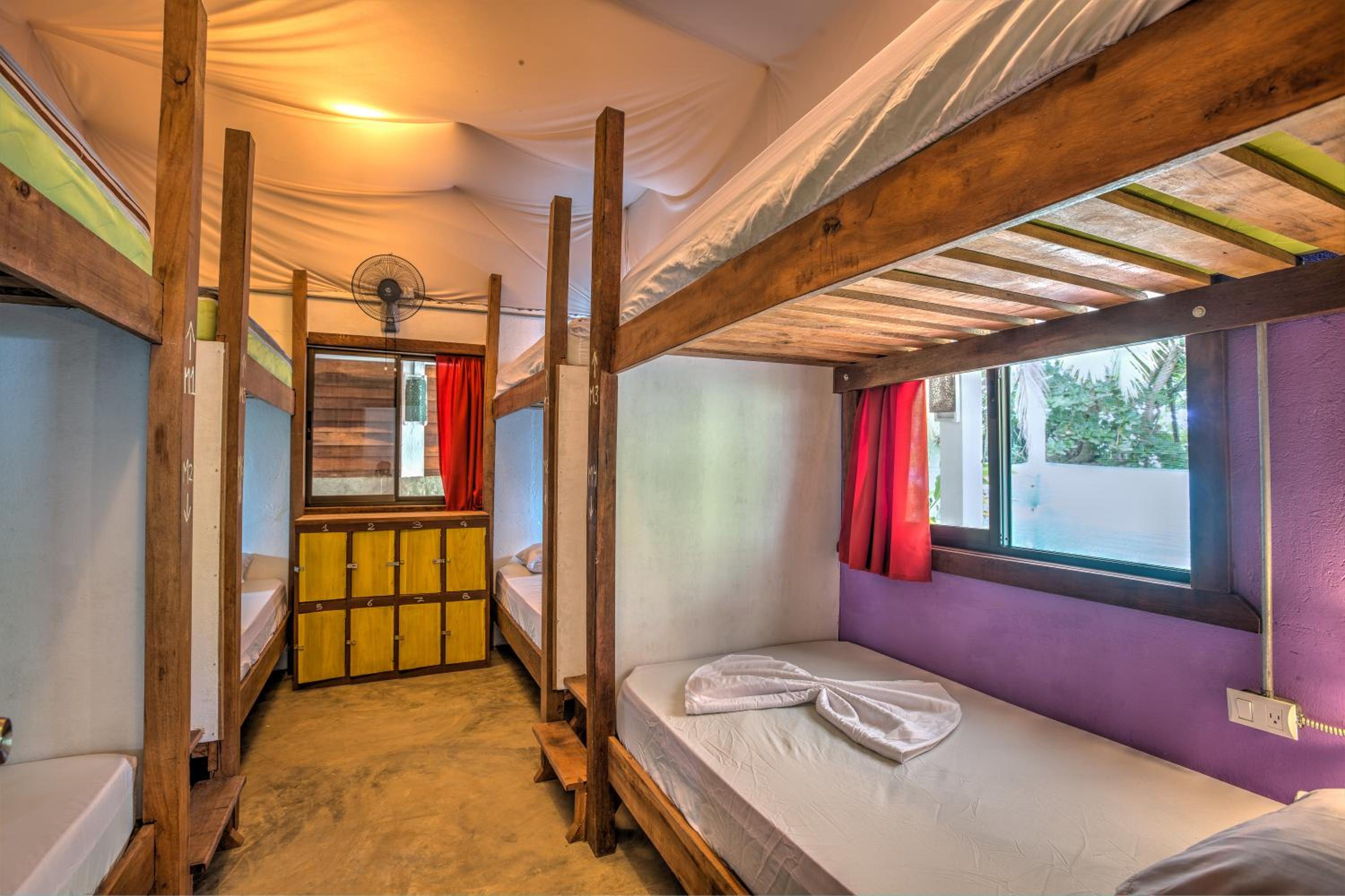 Bunk Bed in Mixed Dormitory Room photo 3