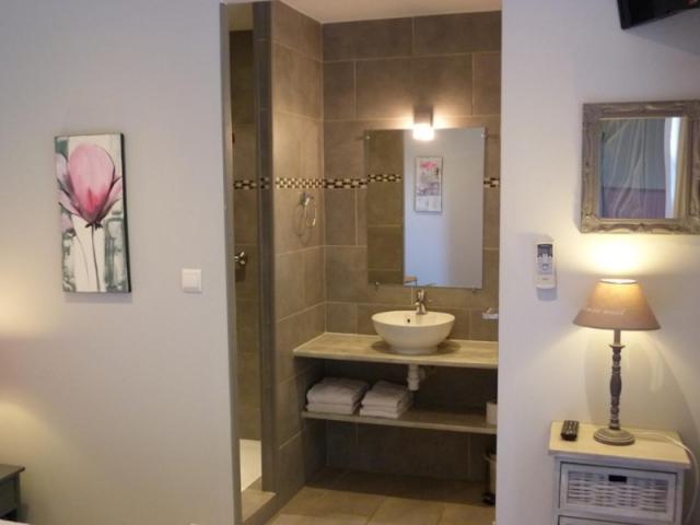 Superior Double Room with Terrace with garden view photo 2