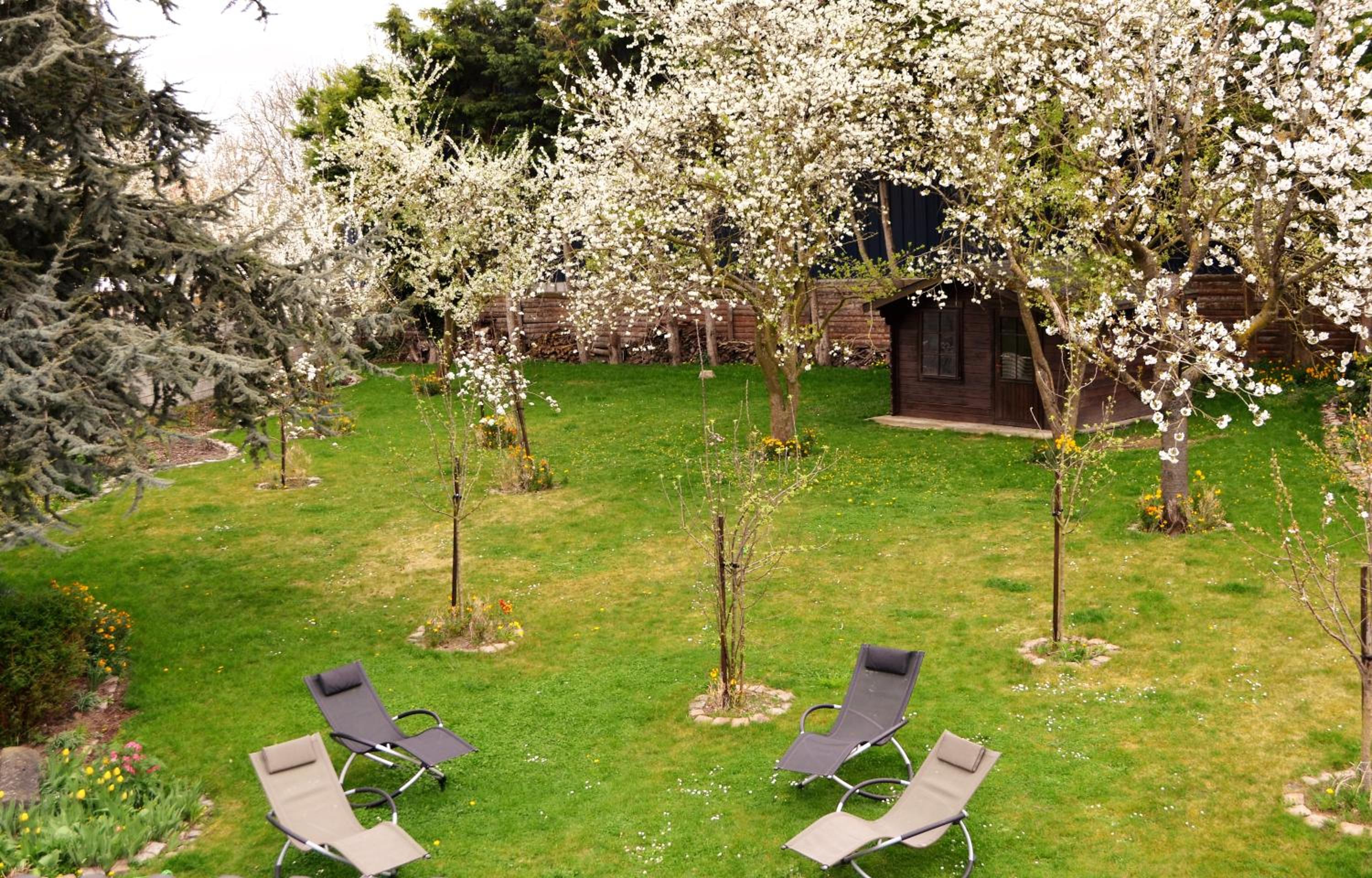 Single Room with Garden View photo 3