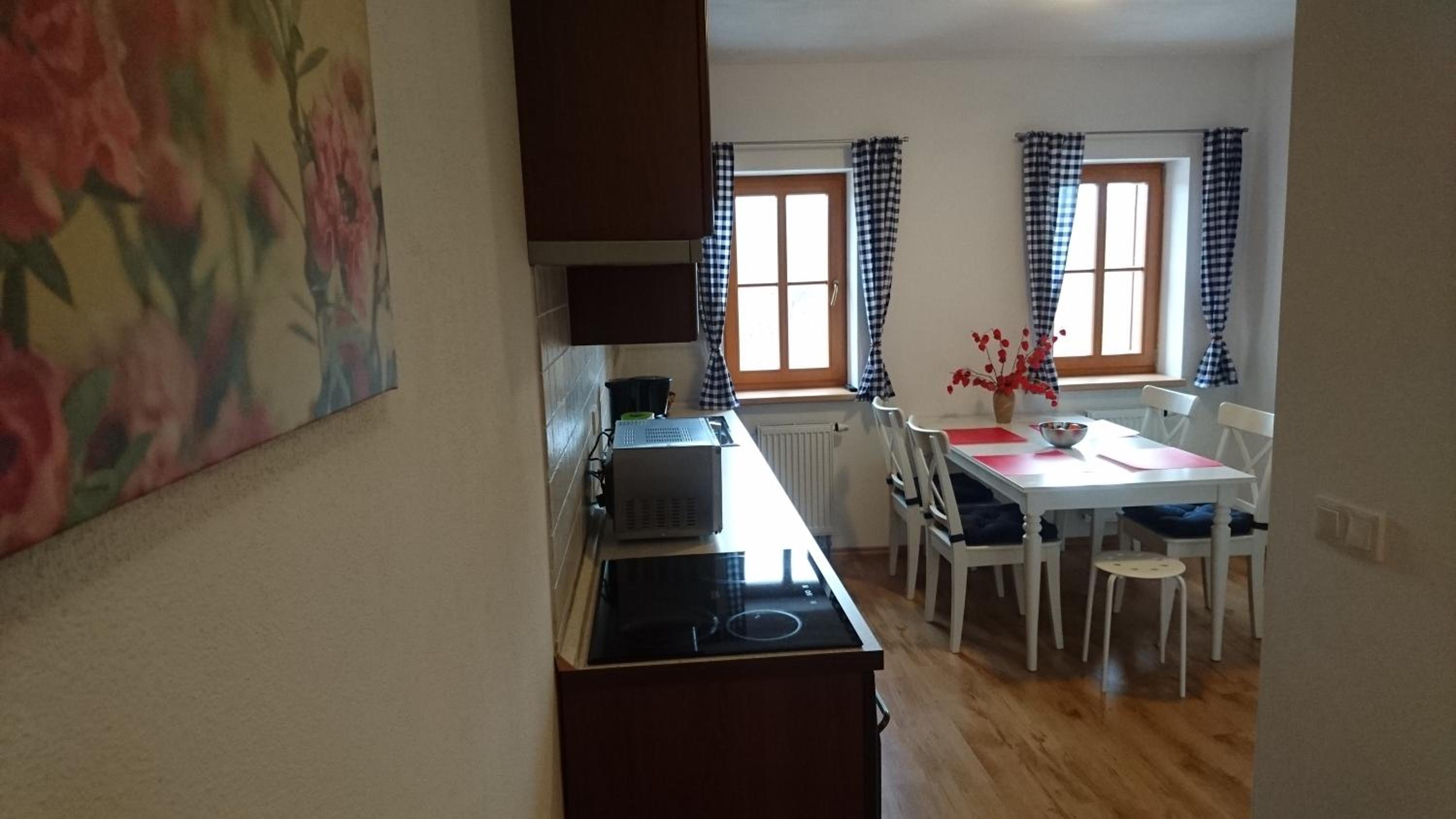 Duplex Apartment photo 3
