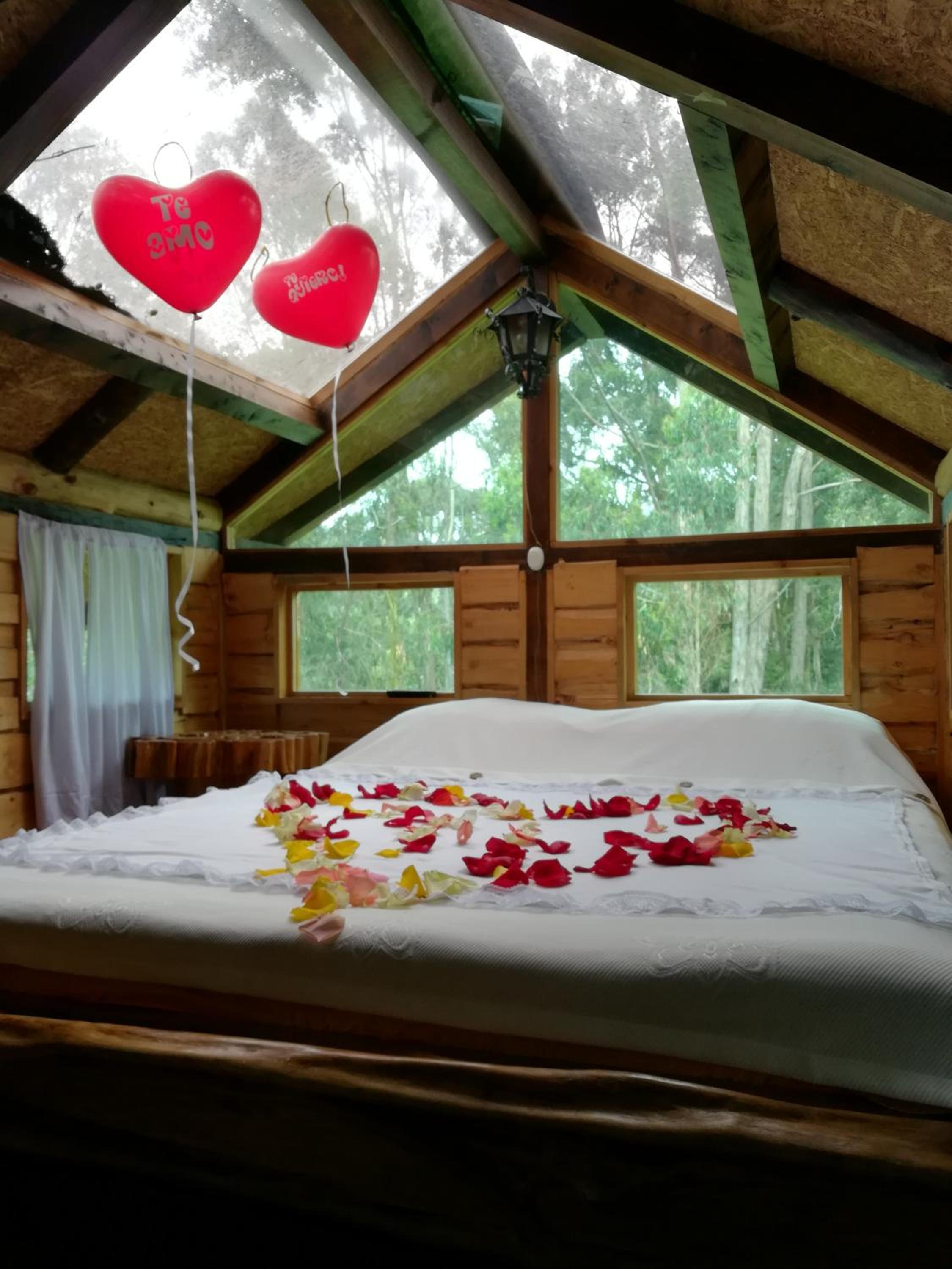 Double Room With Park View photo 1