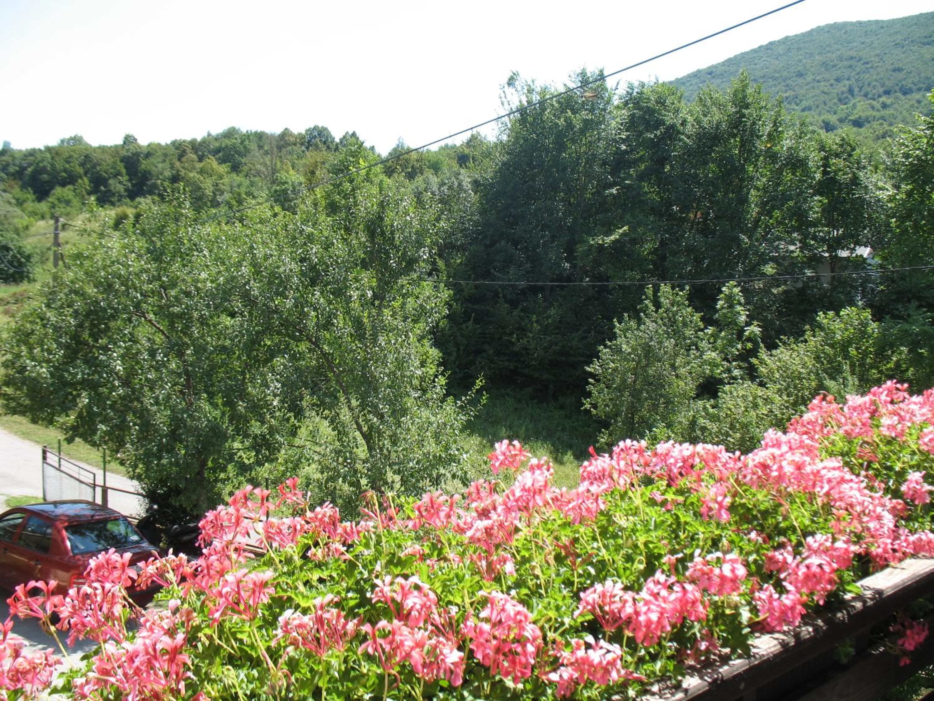 Double Room with Balcony photo 3
