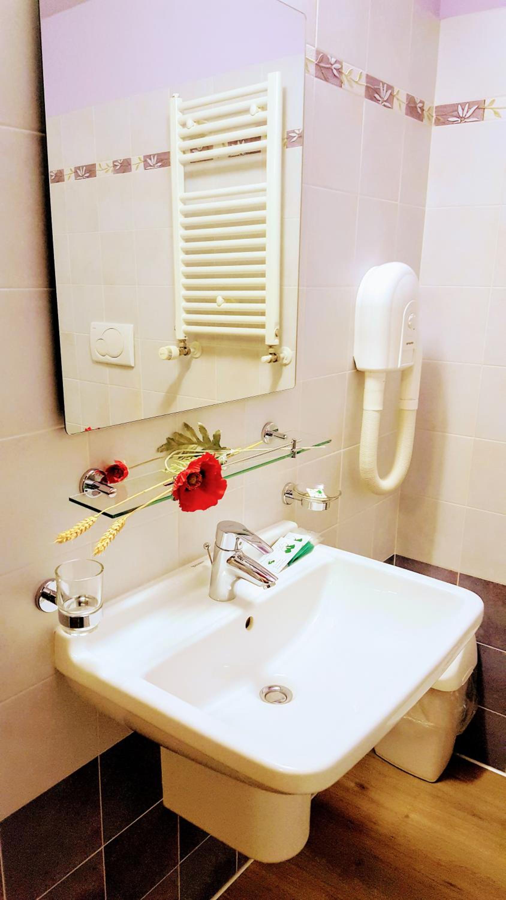 Standard Double or Twin Room with Balcony photo 3