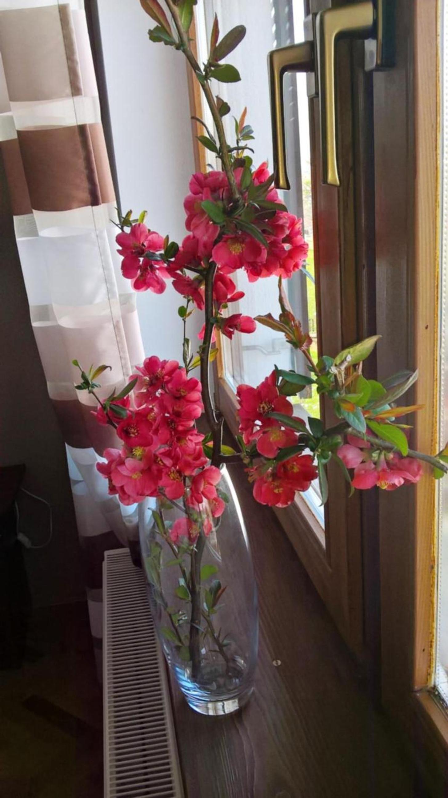 Apartment with Balcony - Photo 24