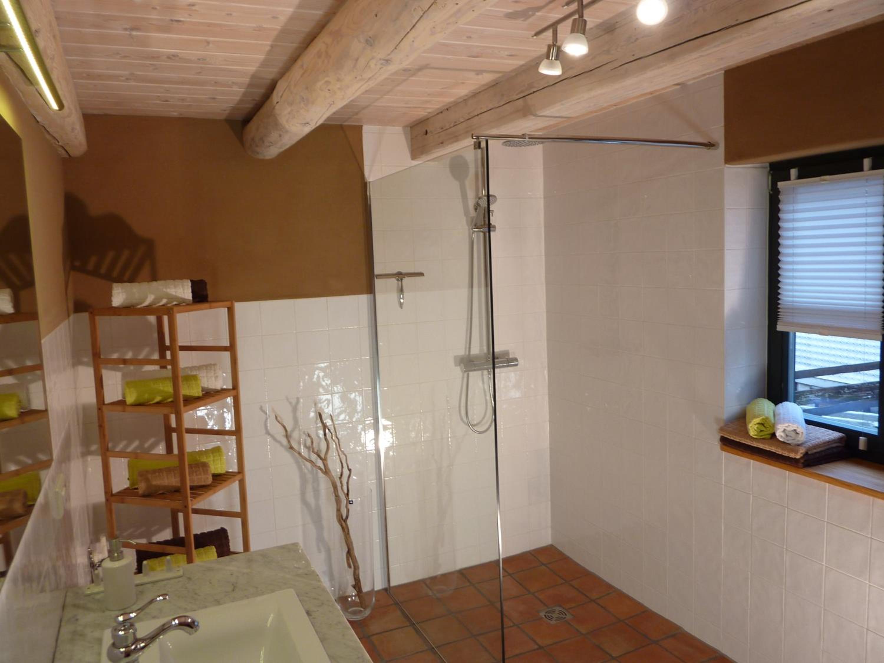 Apartment with Shower photo 3