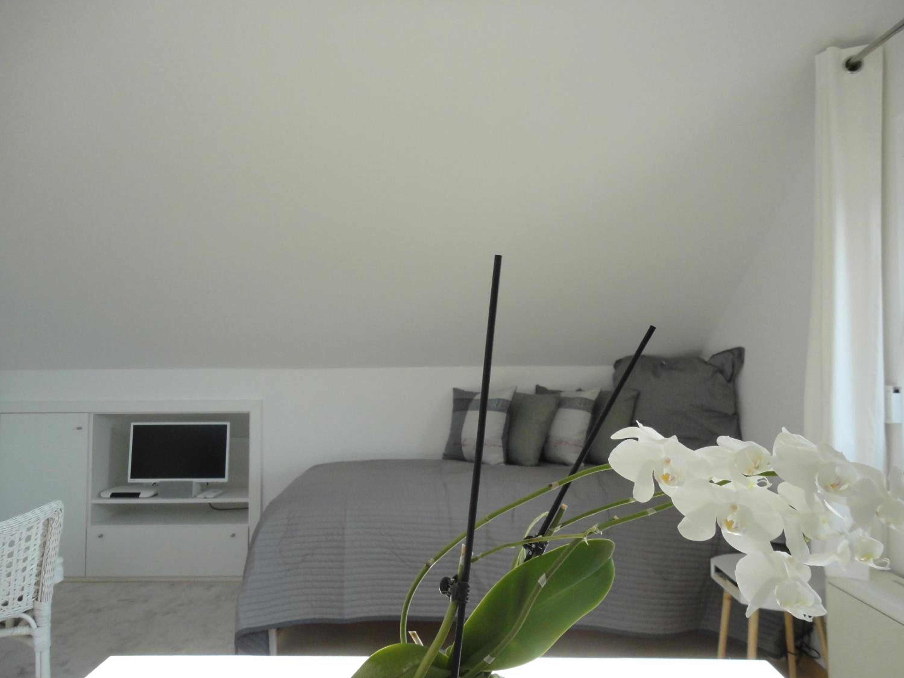 Single Room with Bathroom photo 3