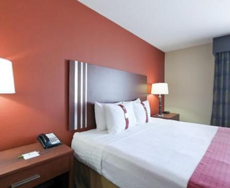 Standard Room - Photo 1