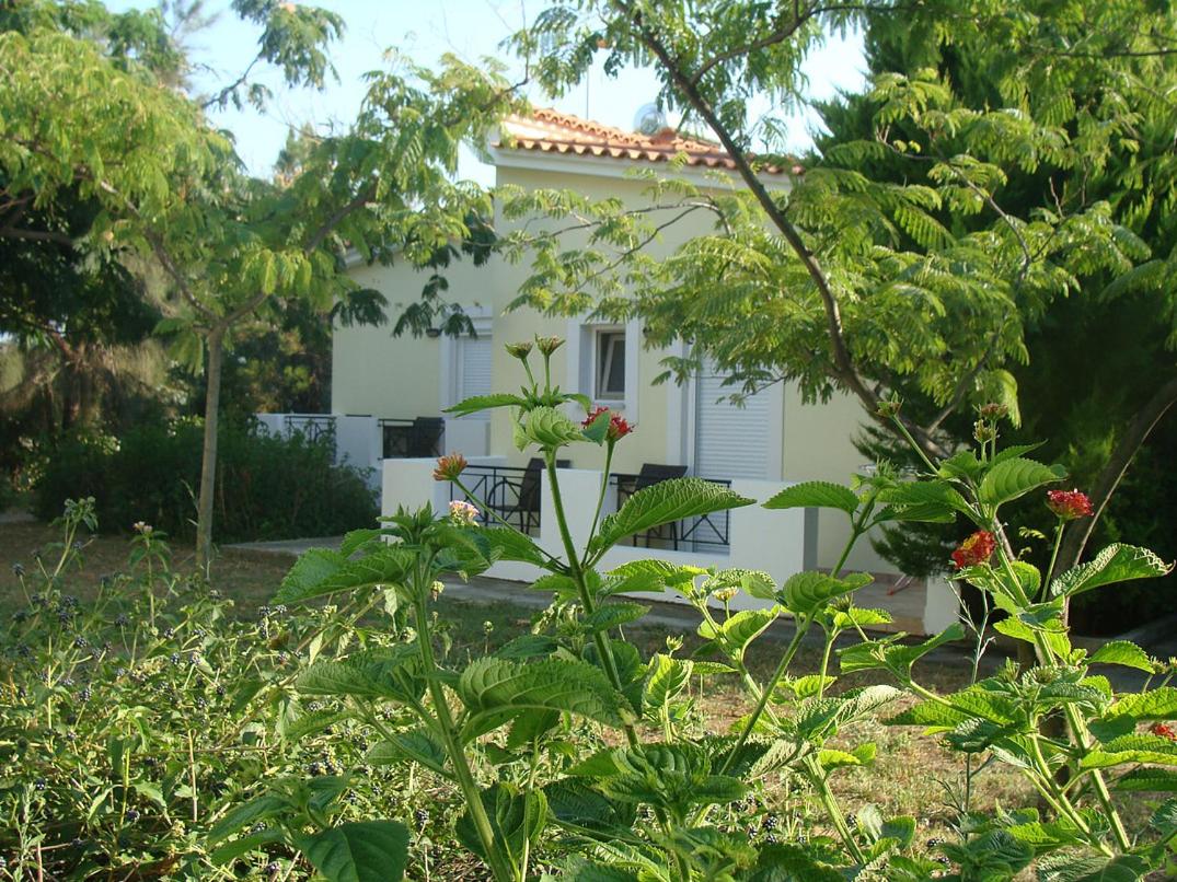 Studio with Sea View photo 3