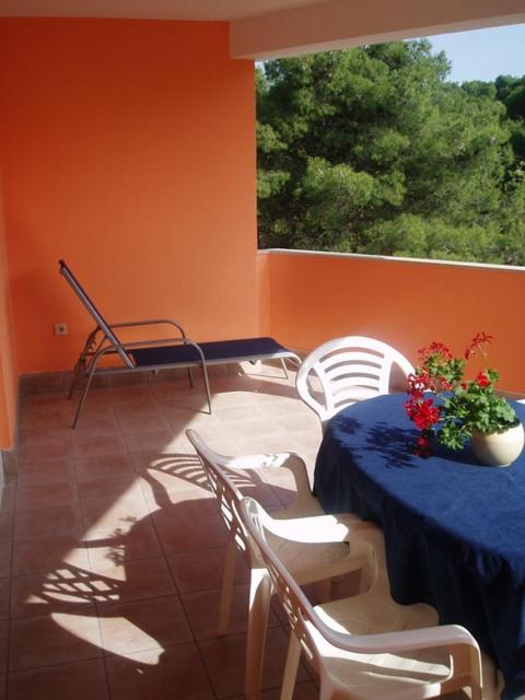 Apartment with Terrace photo 2
