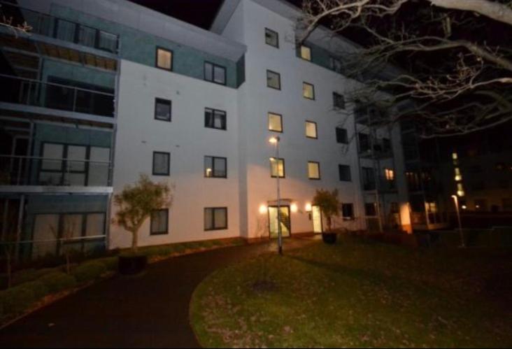 Superior Apartment photo 3