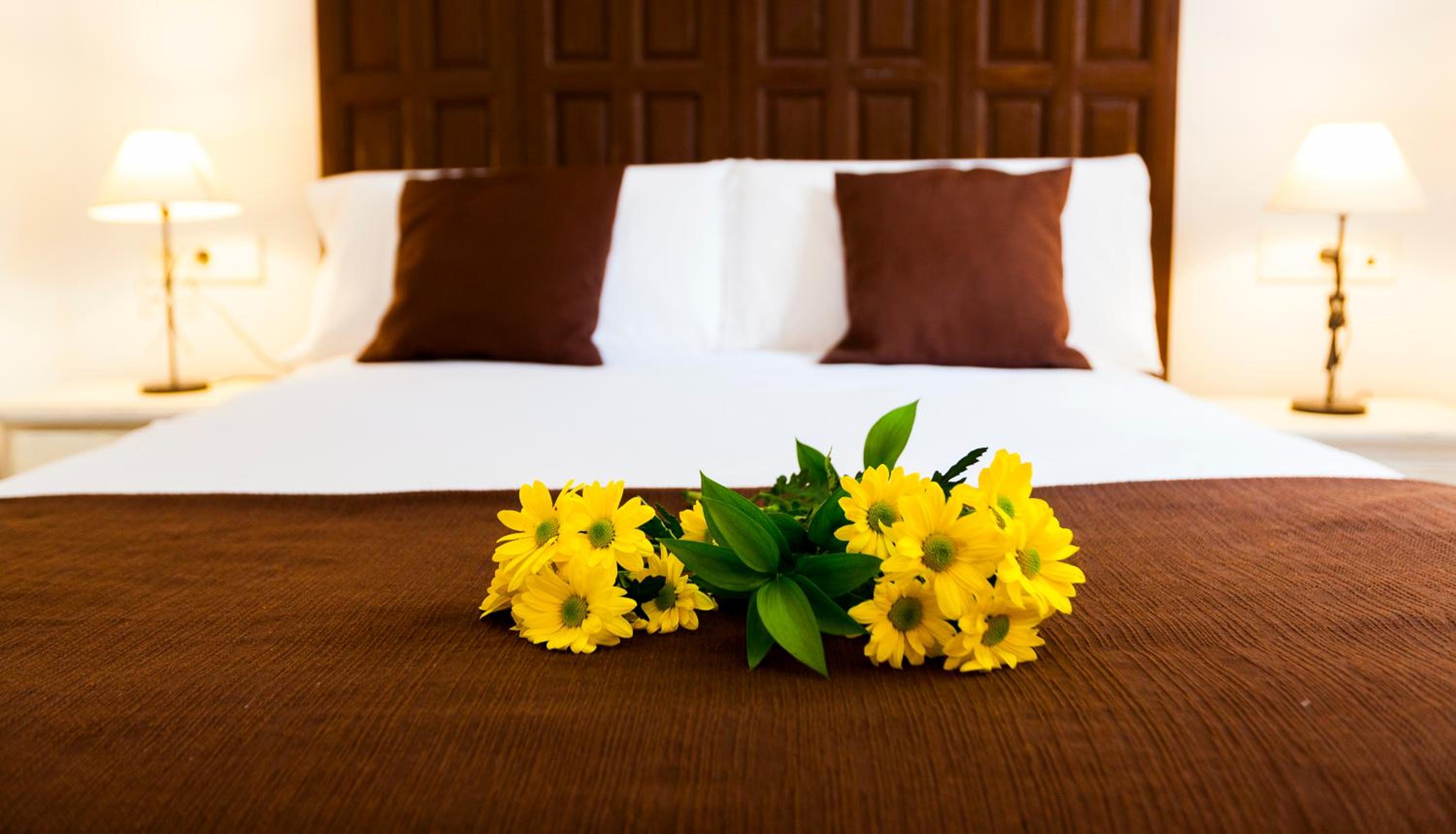 Deluxe Room photo 3