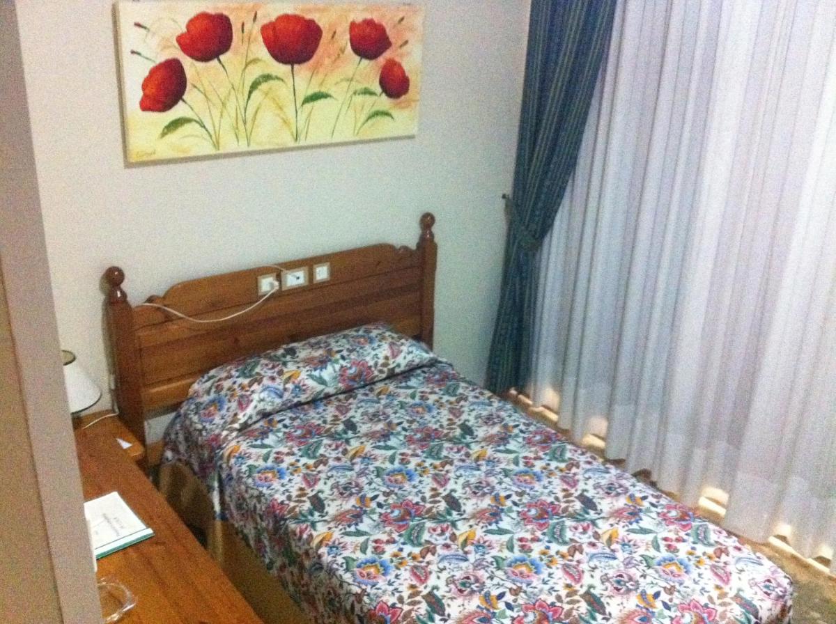 Budget Single Room photo 2
