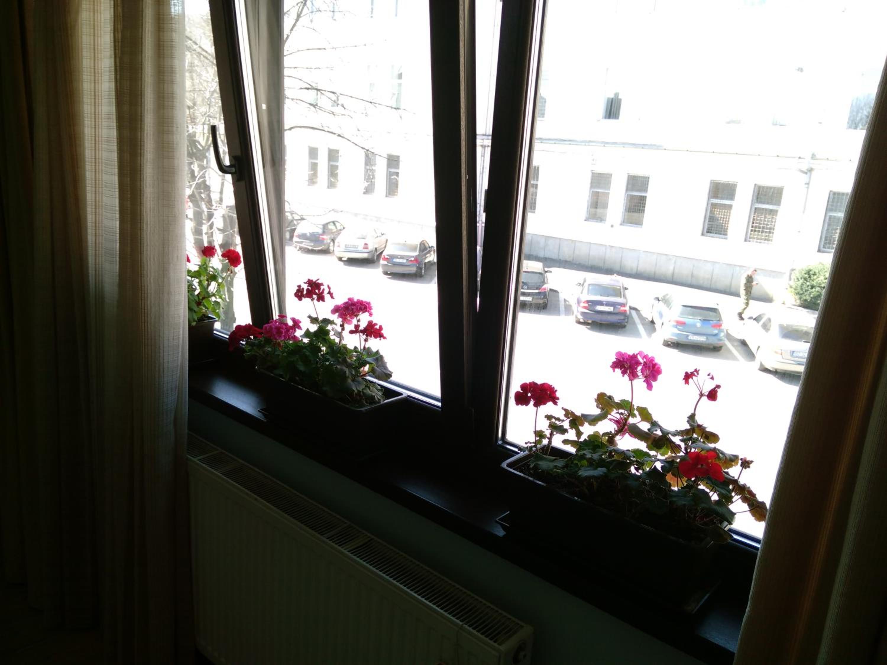 Triple Room - Photo 5