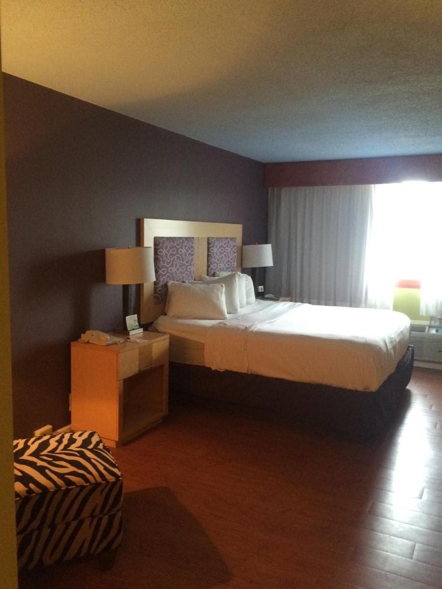 King Room photo 2