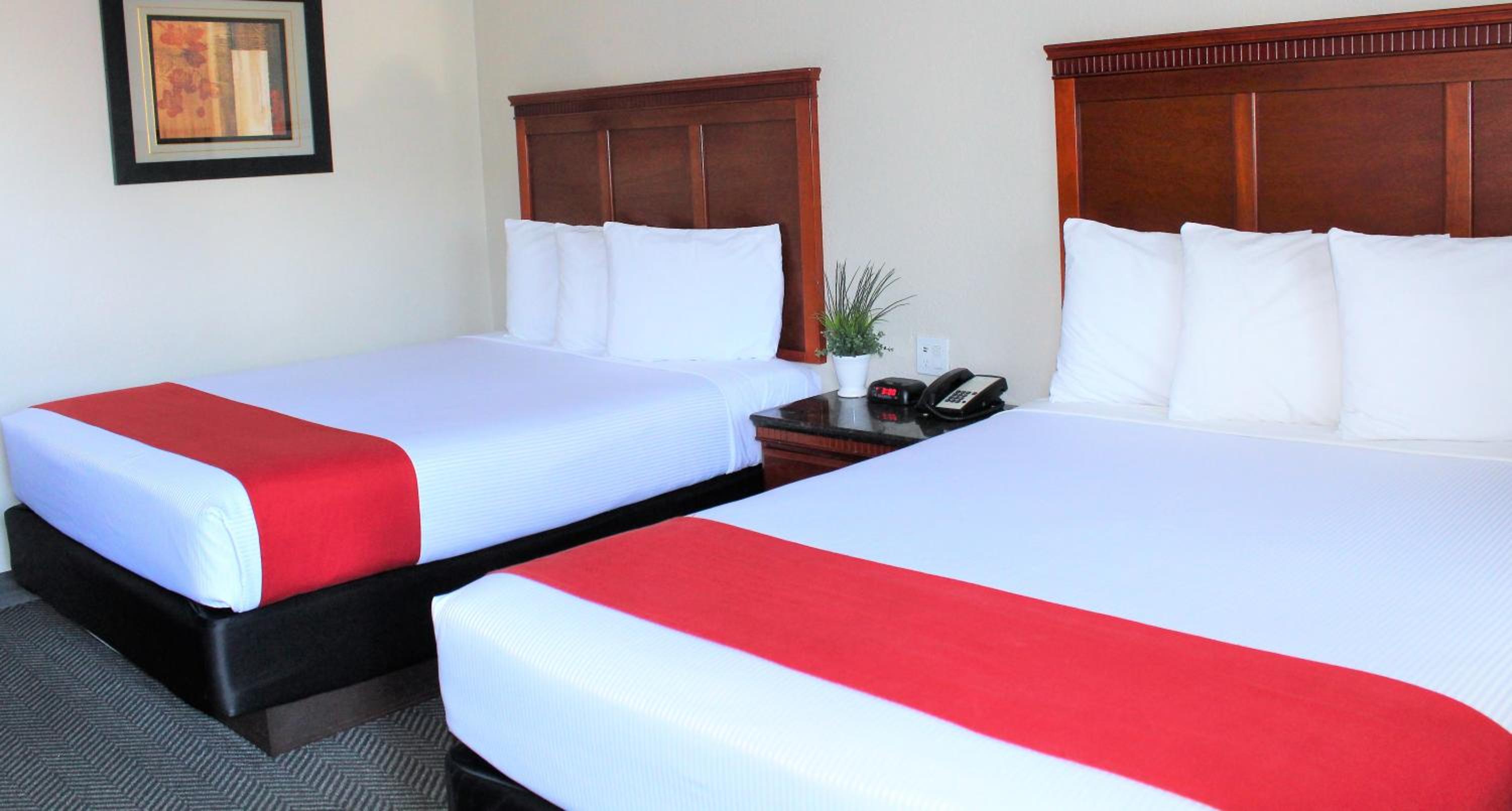 Standard Double Queen Room - Photo 7