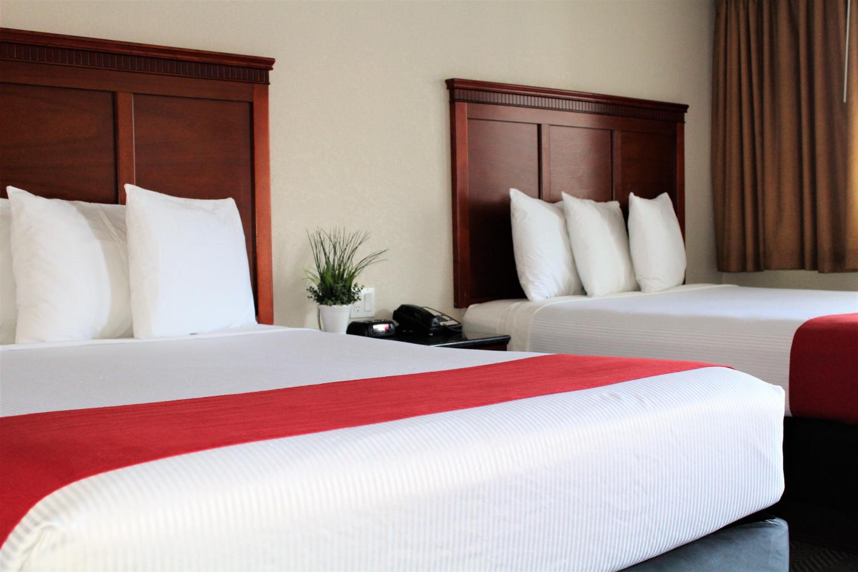 Standard Double Queen Room - Photo 6
