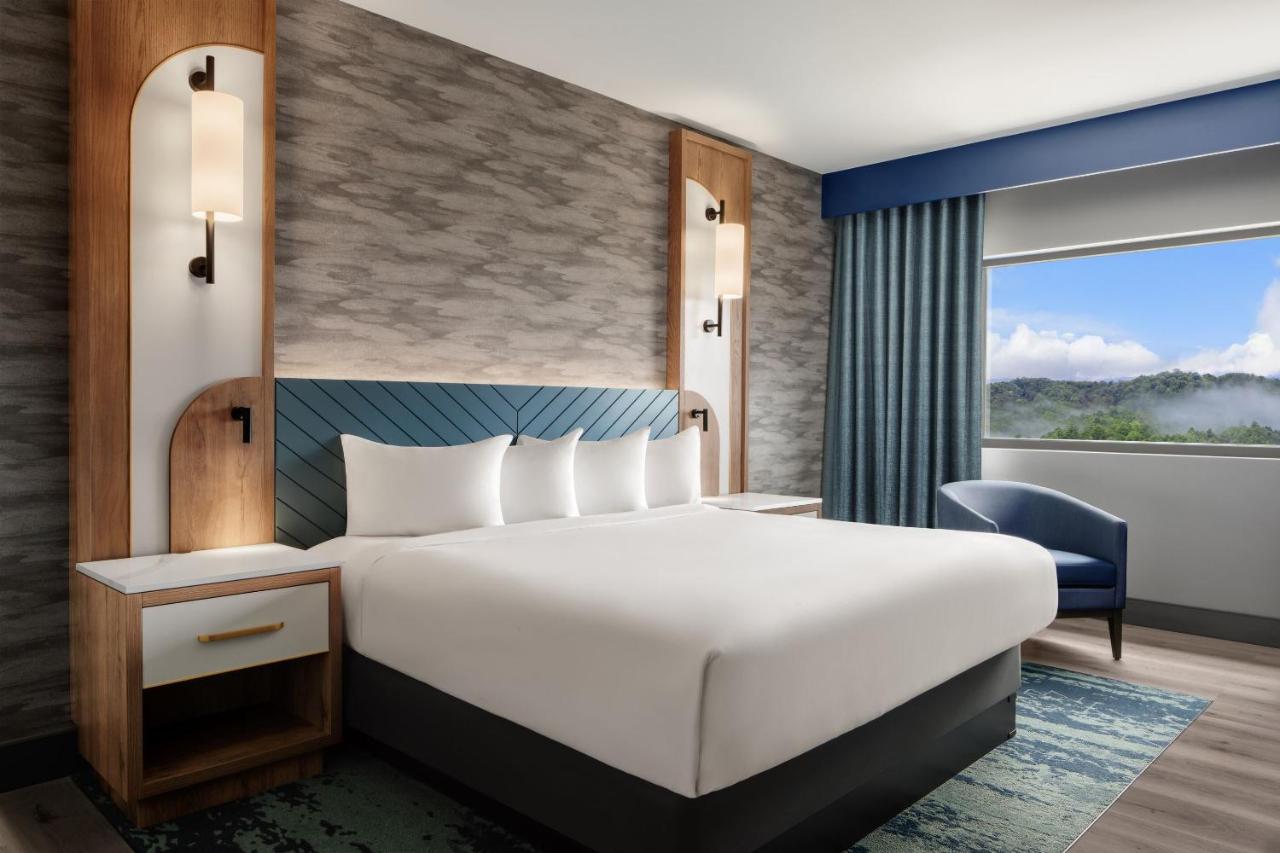 Valley mountain view room king