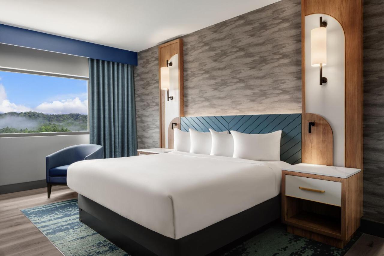Valley mountain view room , 1 king