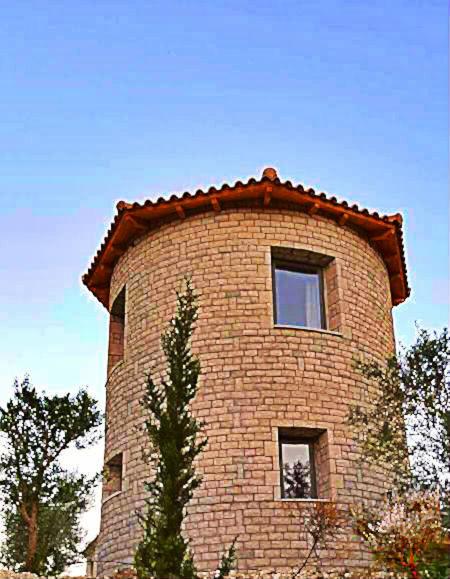 One-Bedroom House photo 3