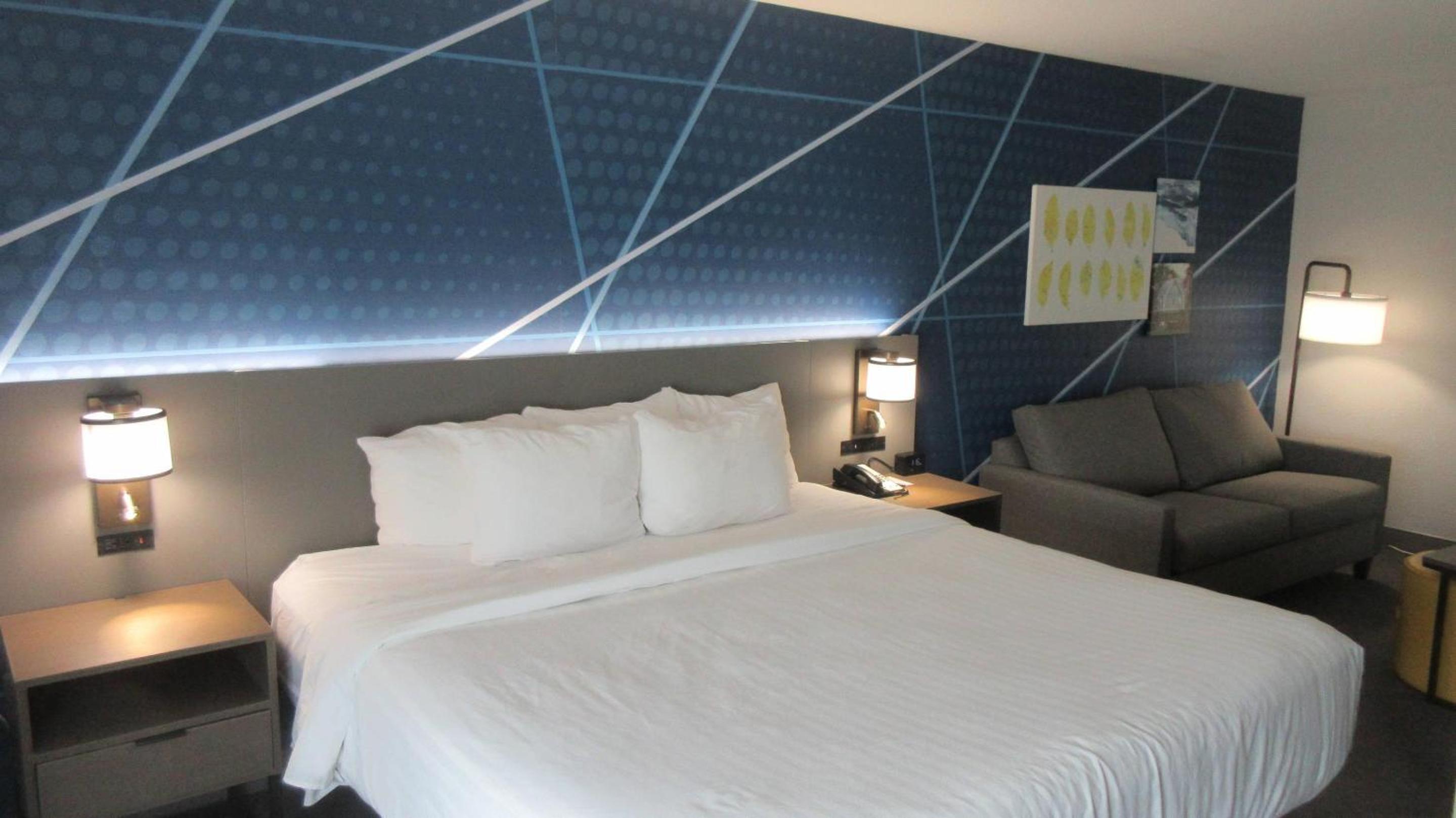 King Room photo 1