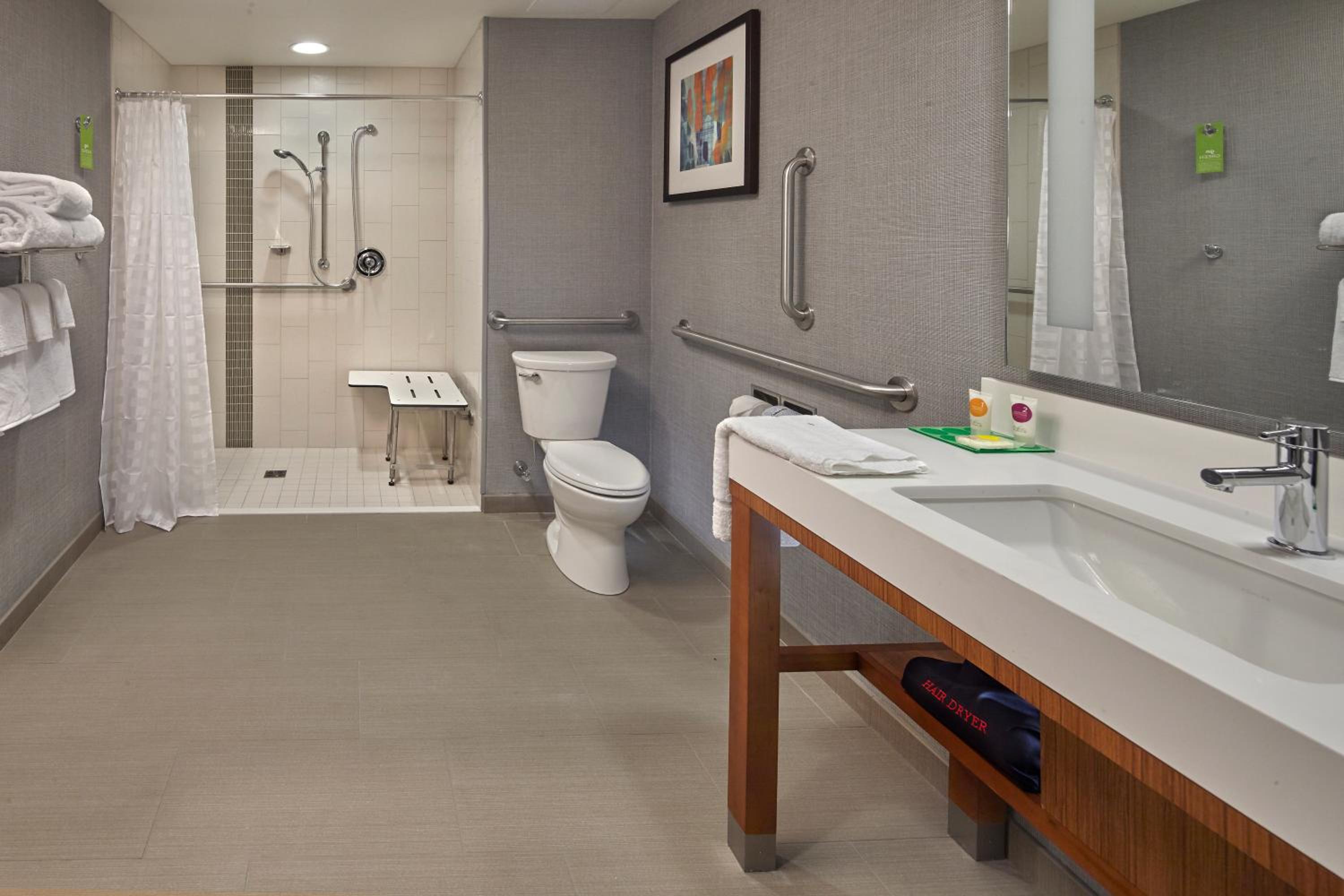 King Room with Sofa Bed and Roll-In Shower - Disability Access