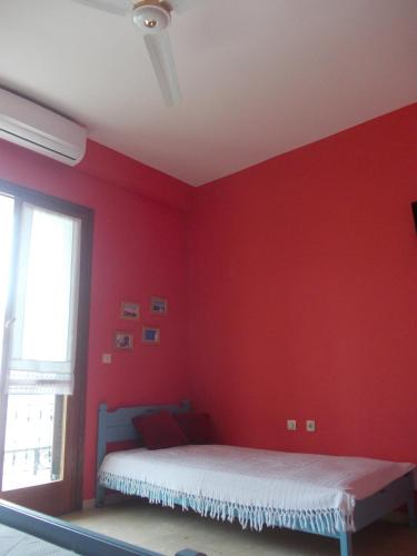 Apartment with Terrace photo 2