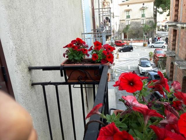 Studio with Terrace - Photo 5