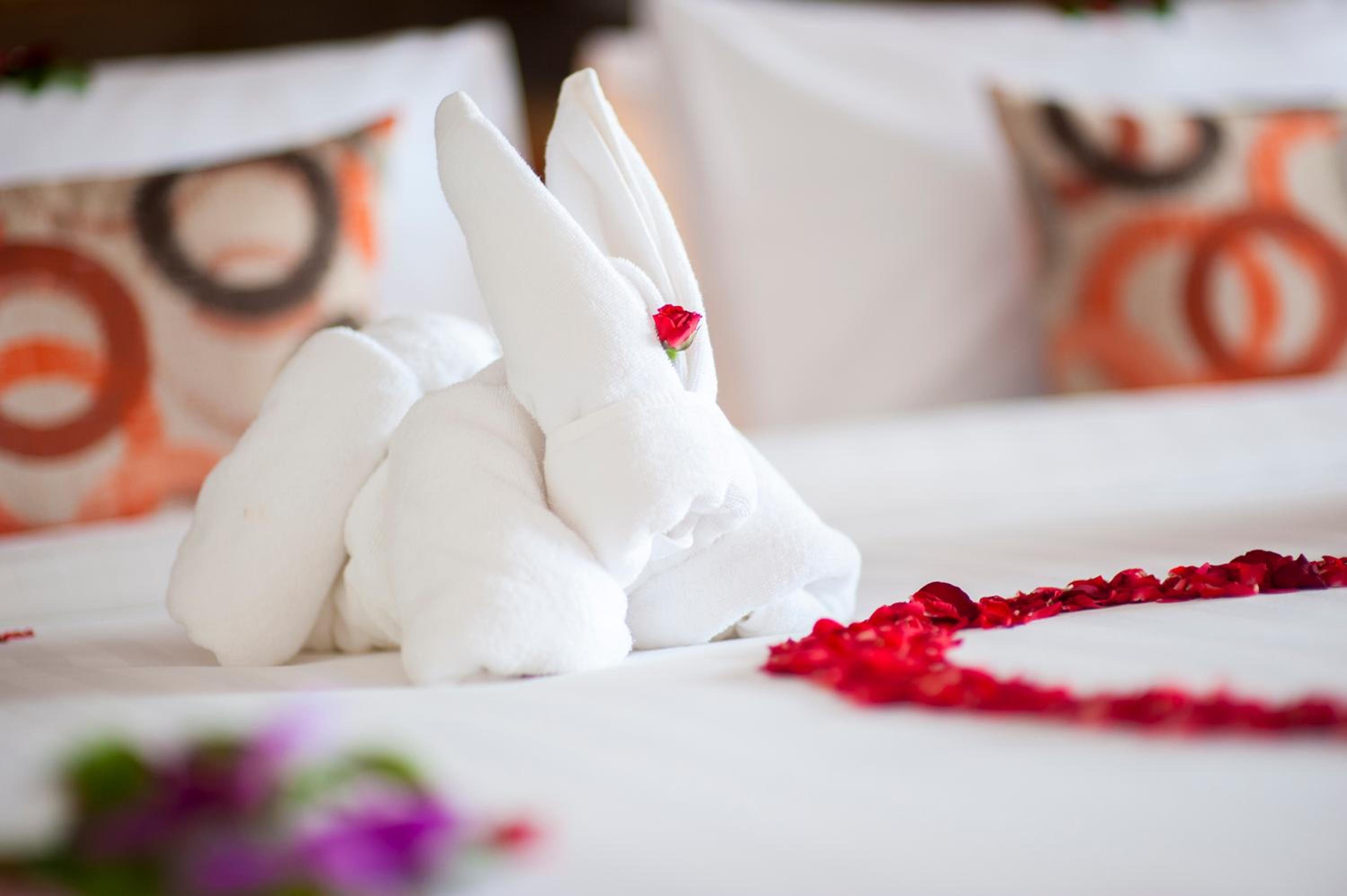 Honeymoon Suite - Photo 5