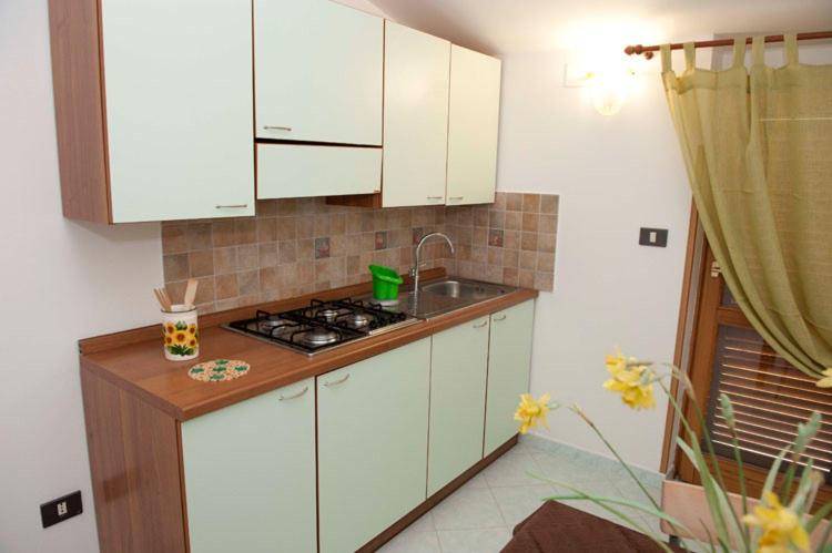 One-Bedroom Standard Apartment photo 2