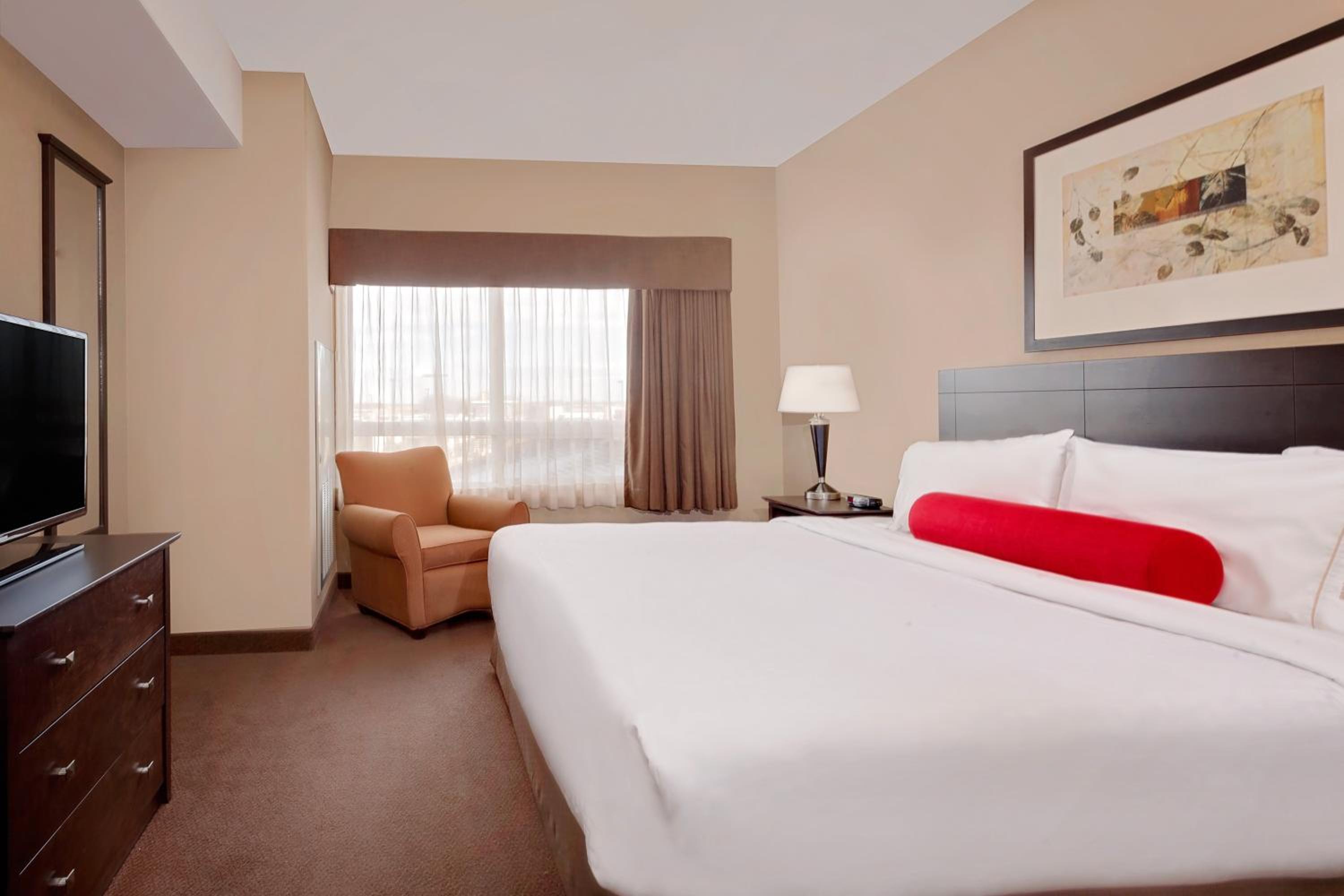 King Suite with Sofa-Bed - Photo 4