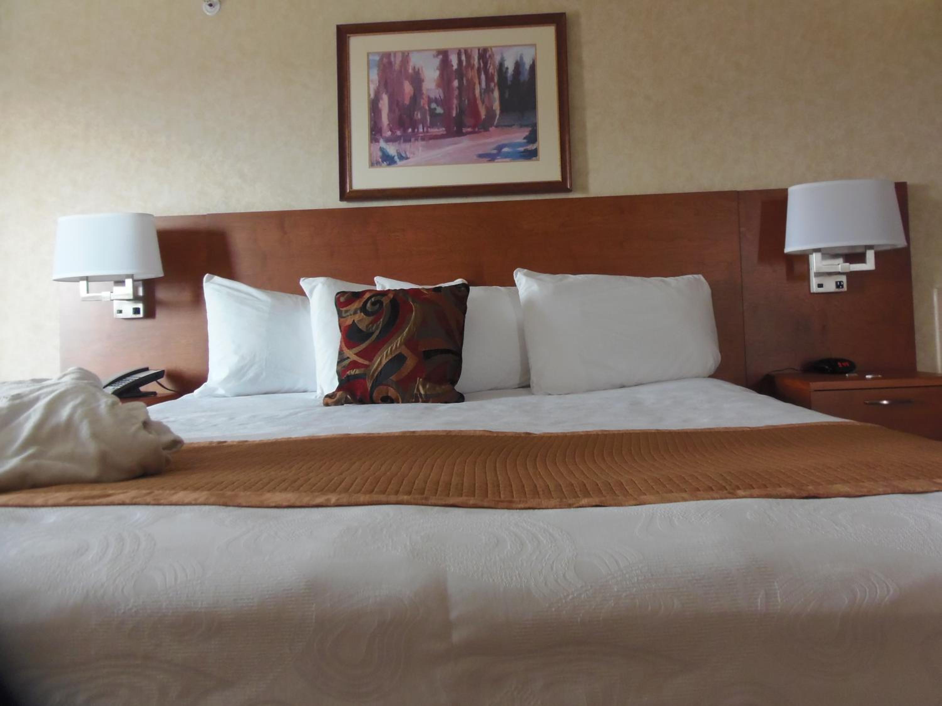 King Suite - Photo 31