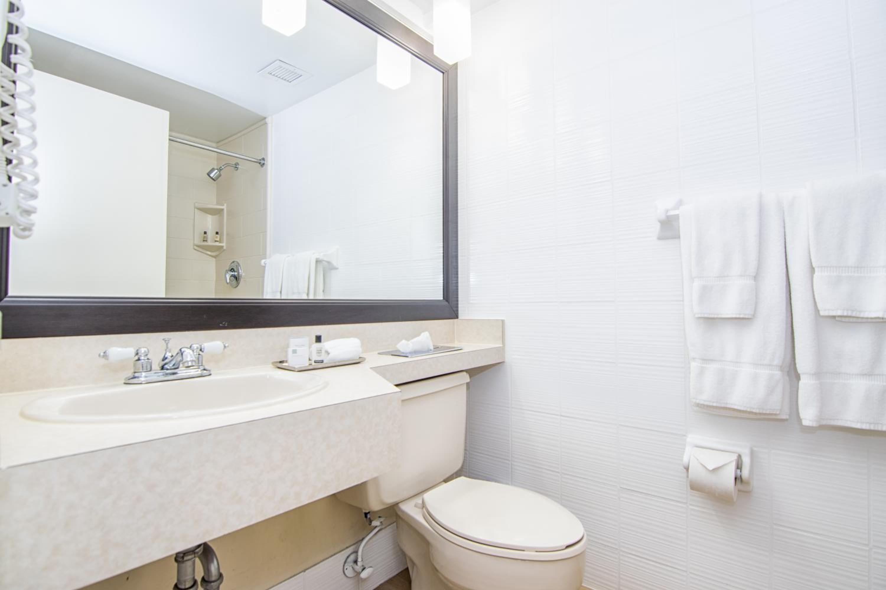 Junior Suite King photo 3