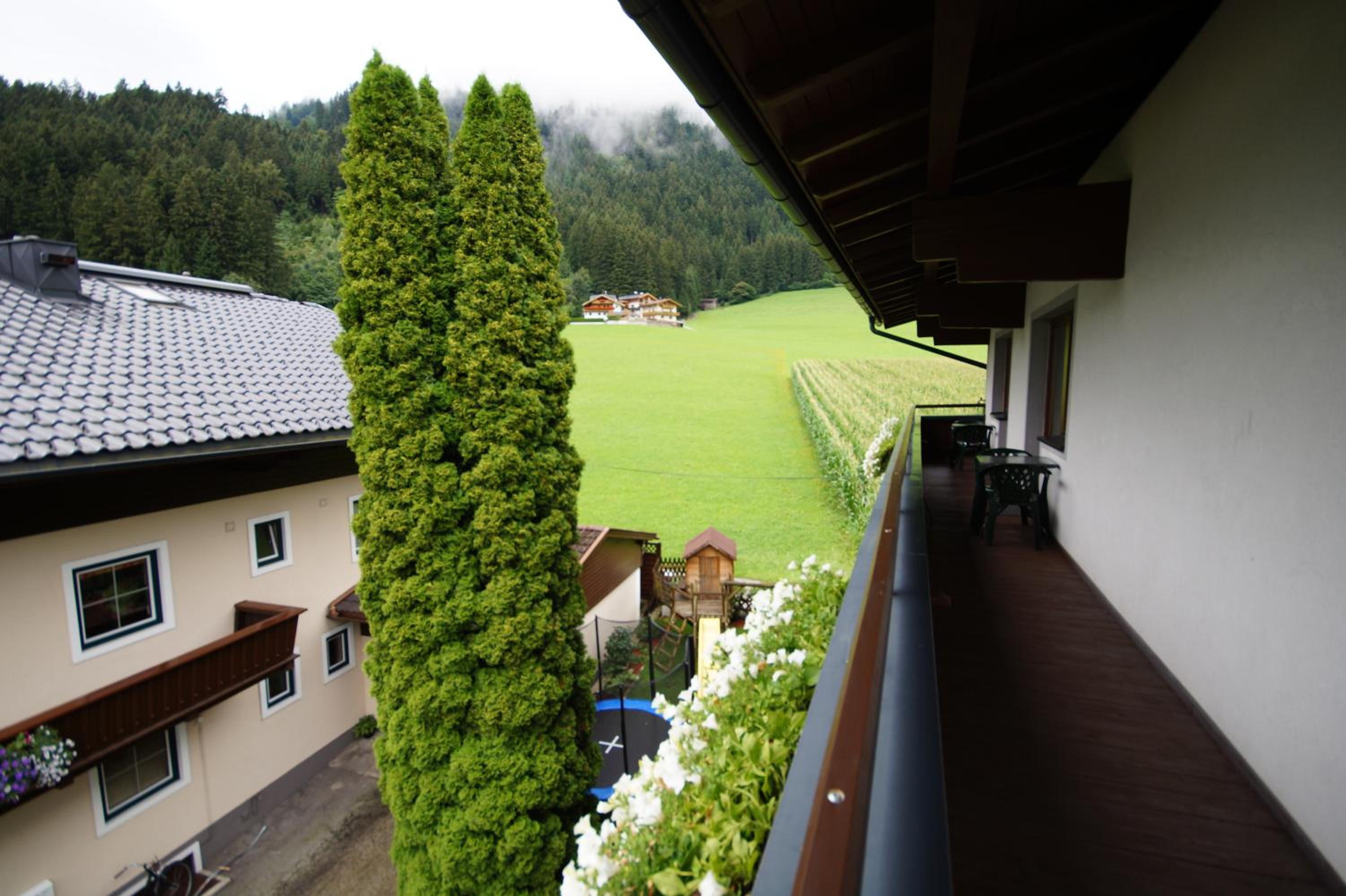 Comfort One-Bedroom Apartment with Balcony photo 3