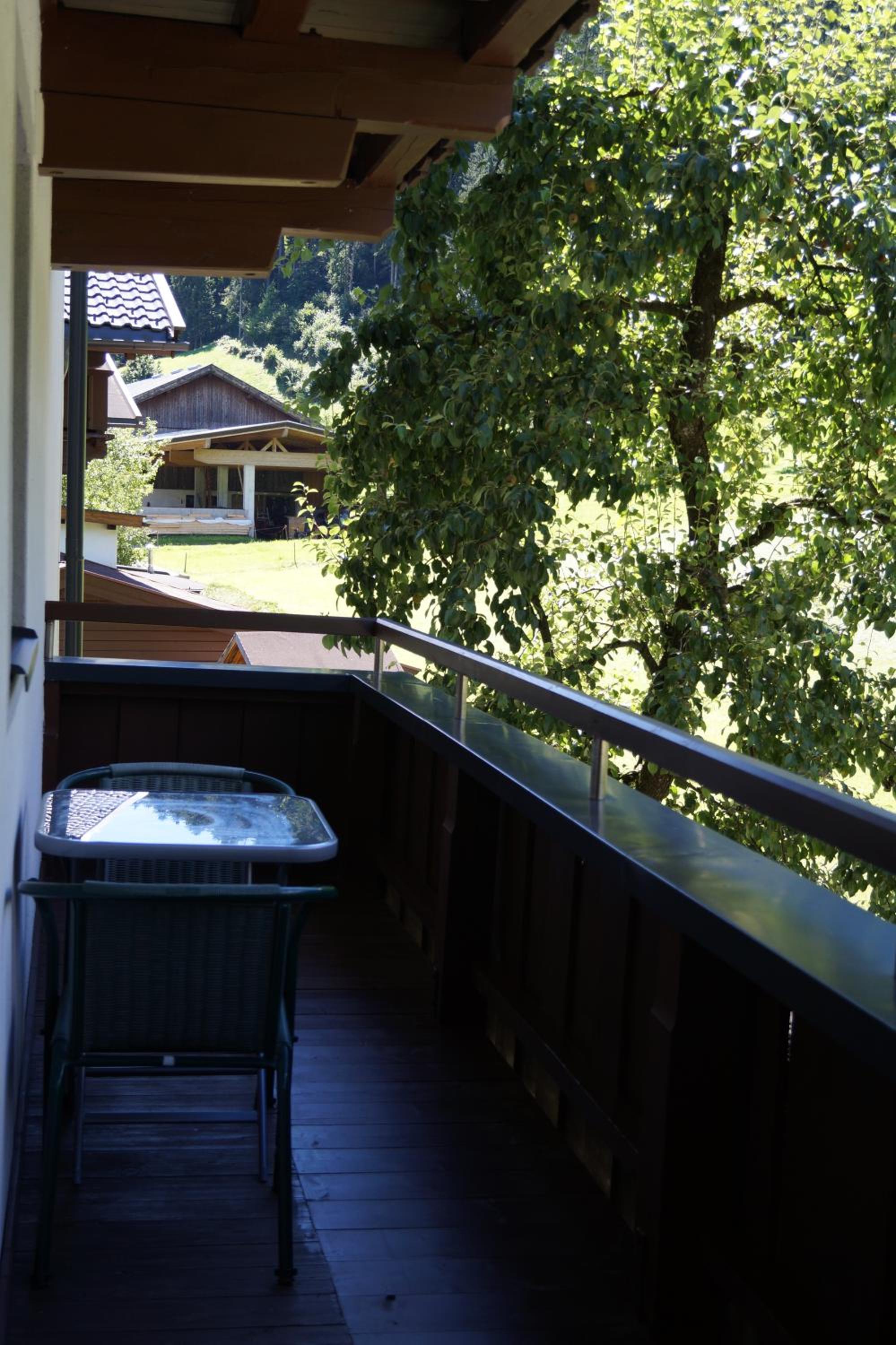Comfort One-Bedroom Apartment with Balcony photo 3