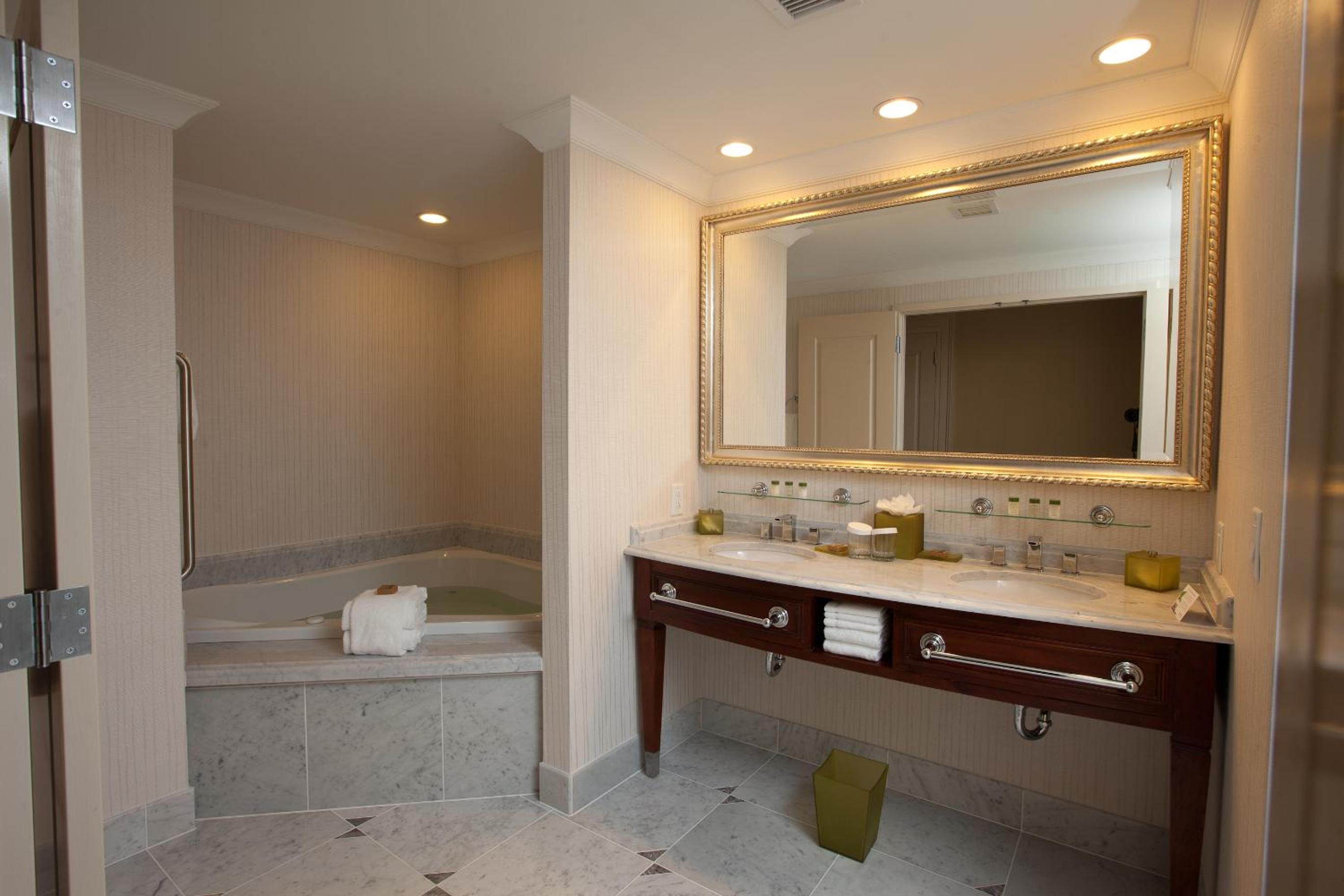Deluxe King Suite - Photo 4
