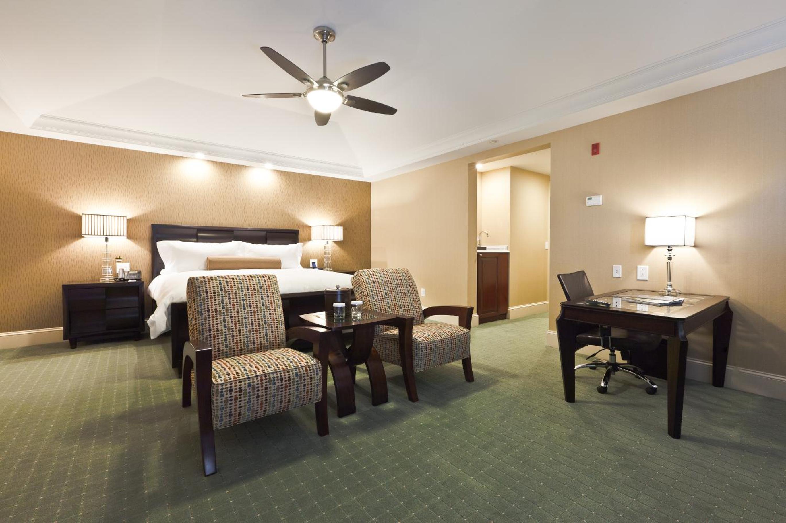 Deluxe King Suite - Photo 2