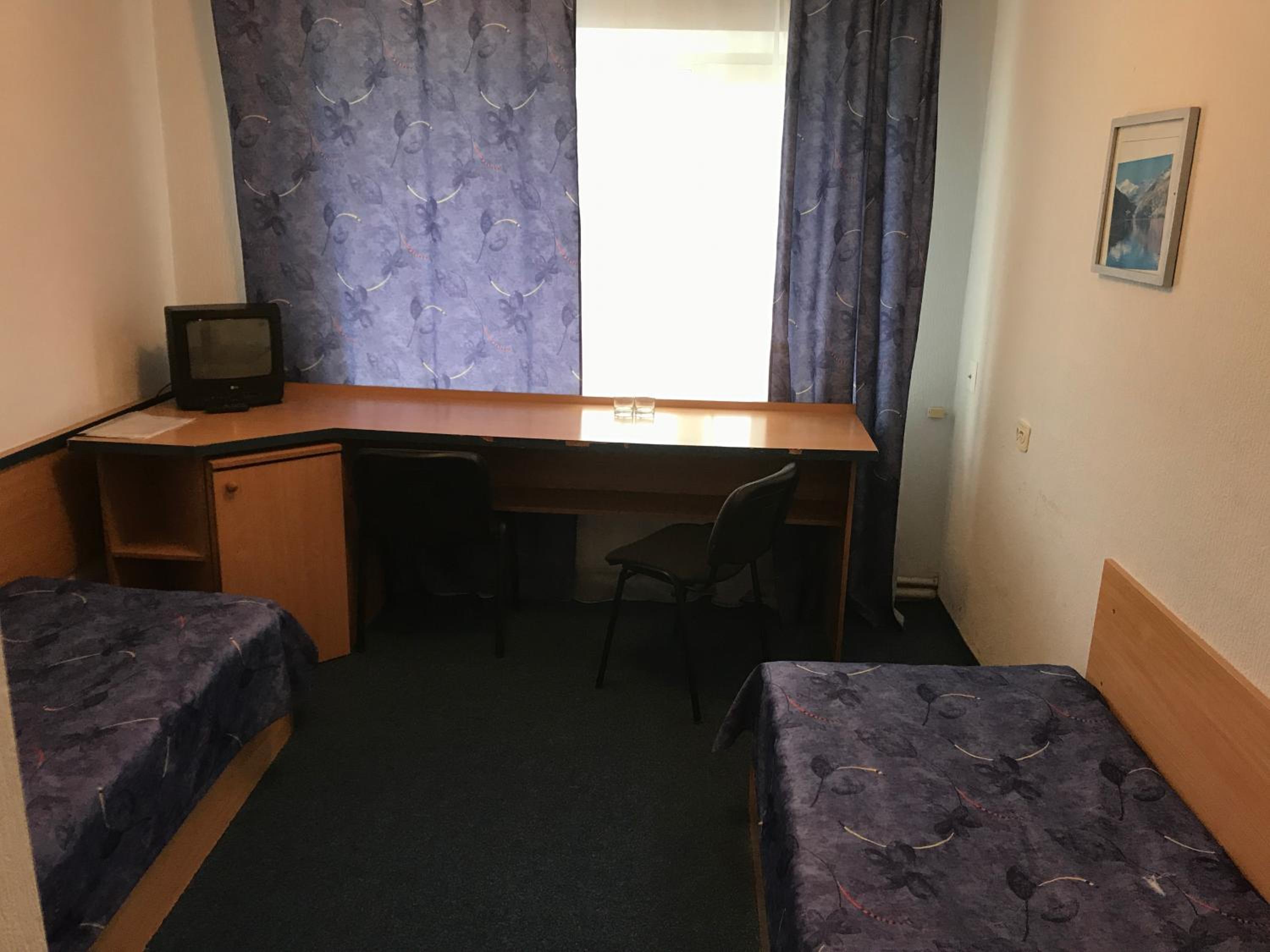 Large Twin Room photo 2