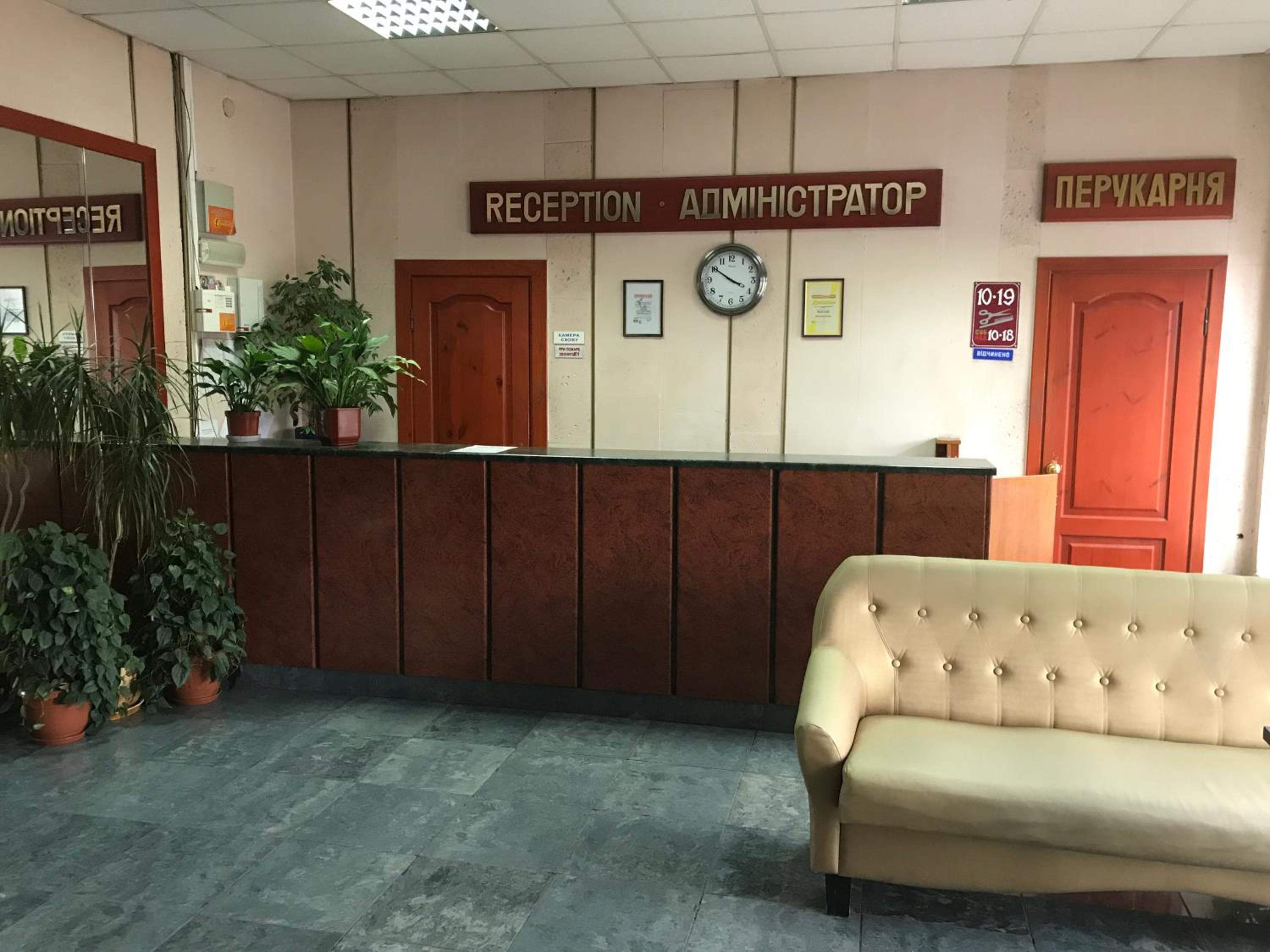 Large Single Room photo 2